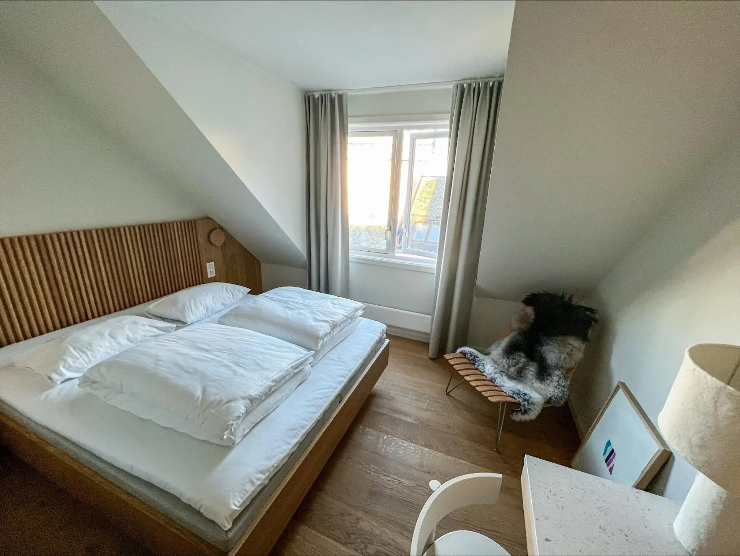 Standard Single Room in Hotel 1904 Standard Single Room in Hotel 1904