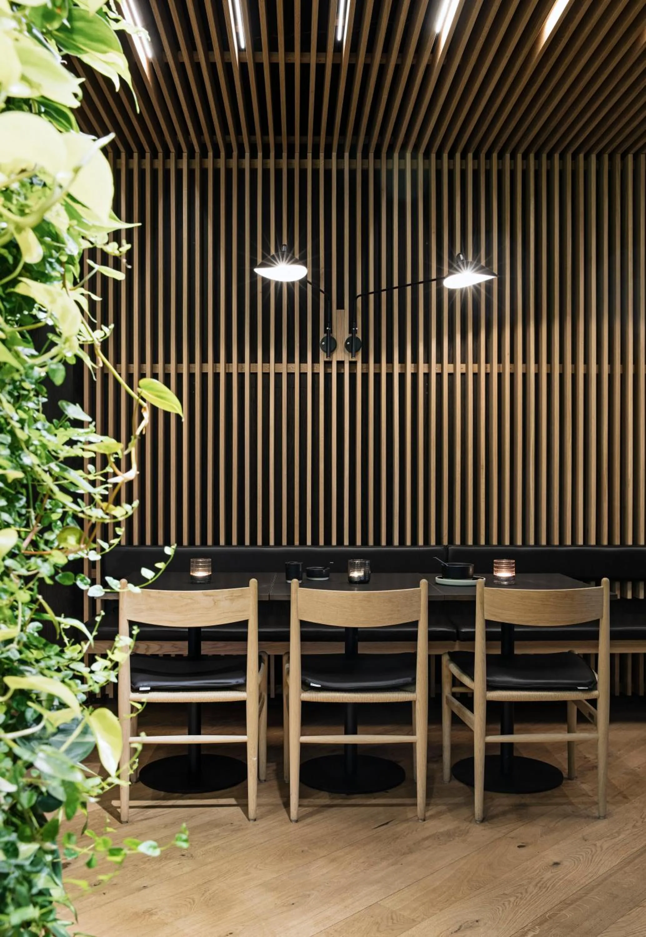 Restaurant/places to eat in Hotel 1904