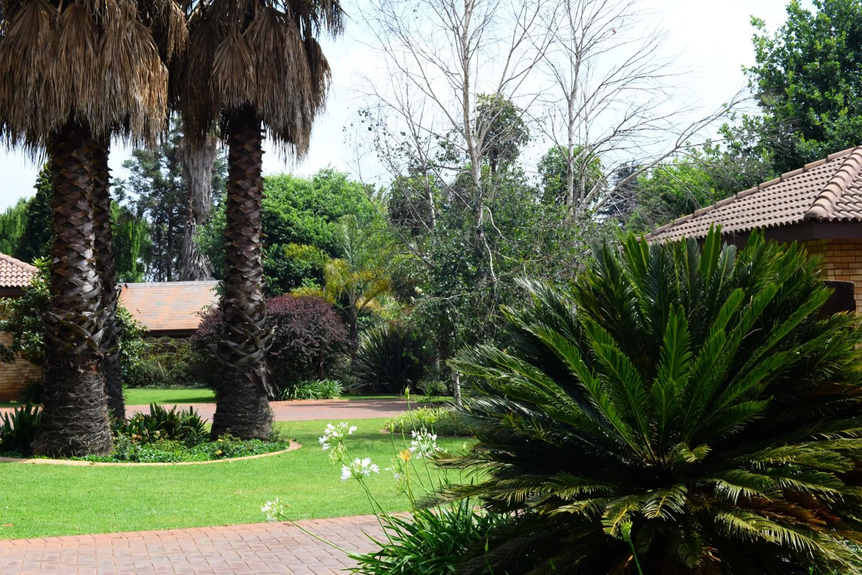 Garden view in Avant Garde Lodge