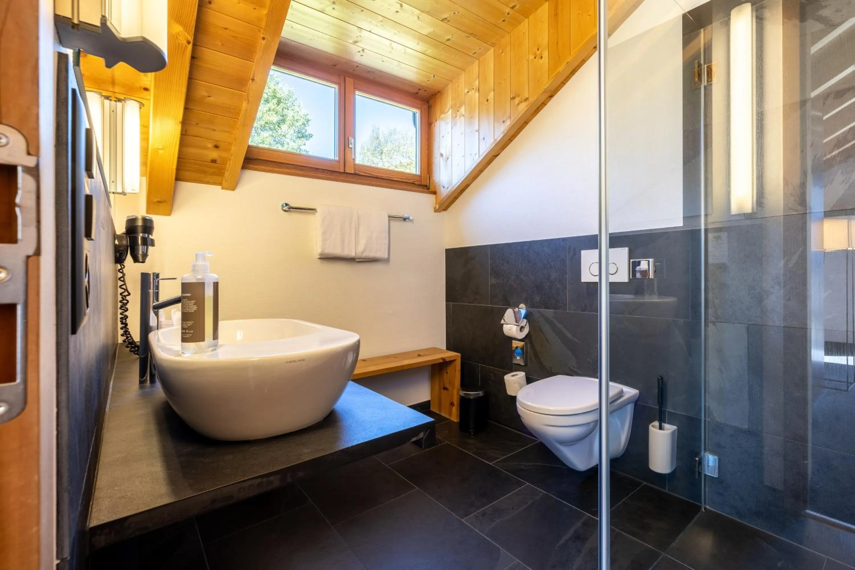 Schorta's Alvetern - Boutique Hotel