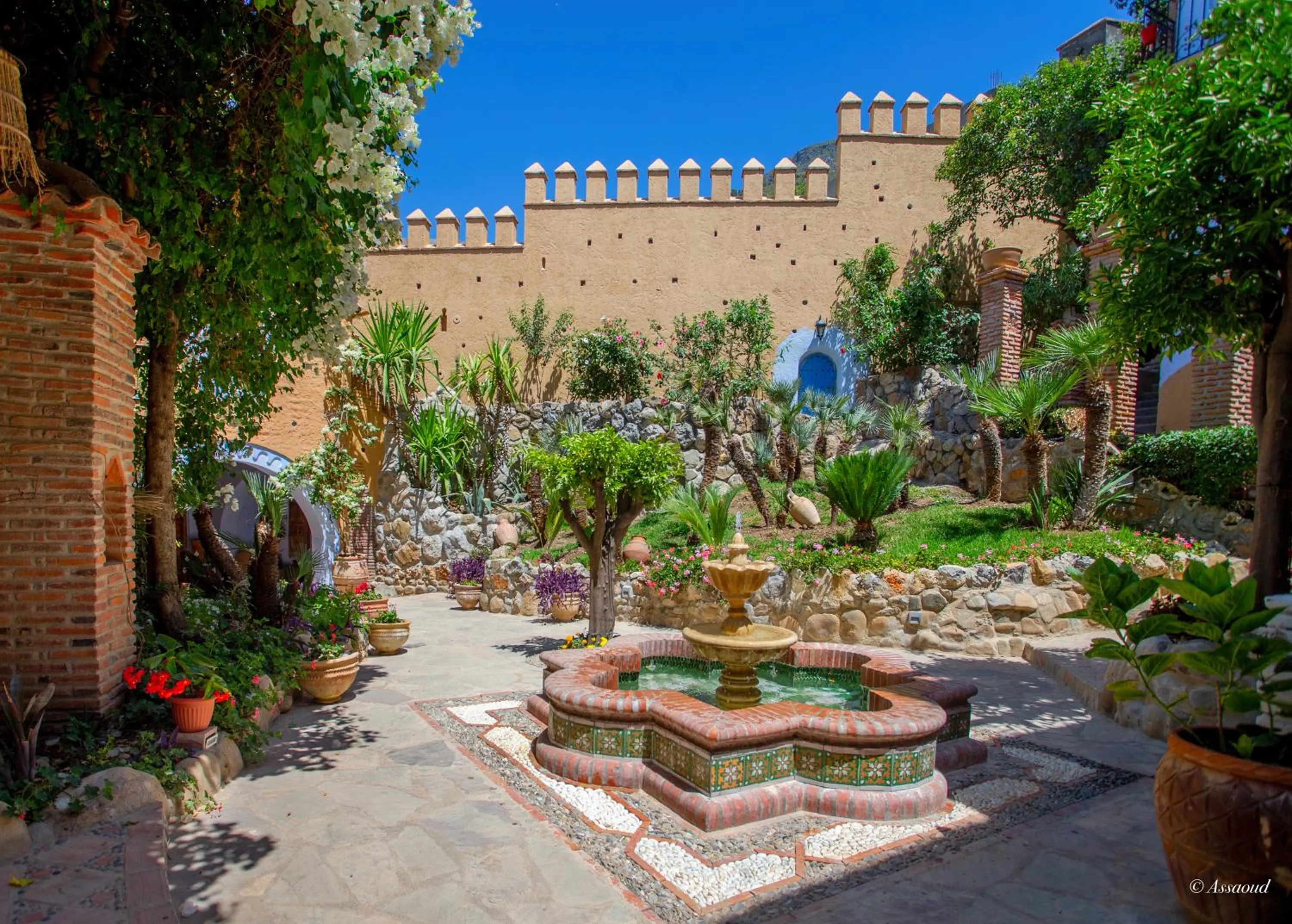 Garden in Dar Echchaouen Maison d'Hôtes & Riad