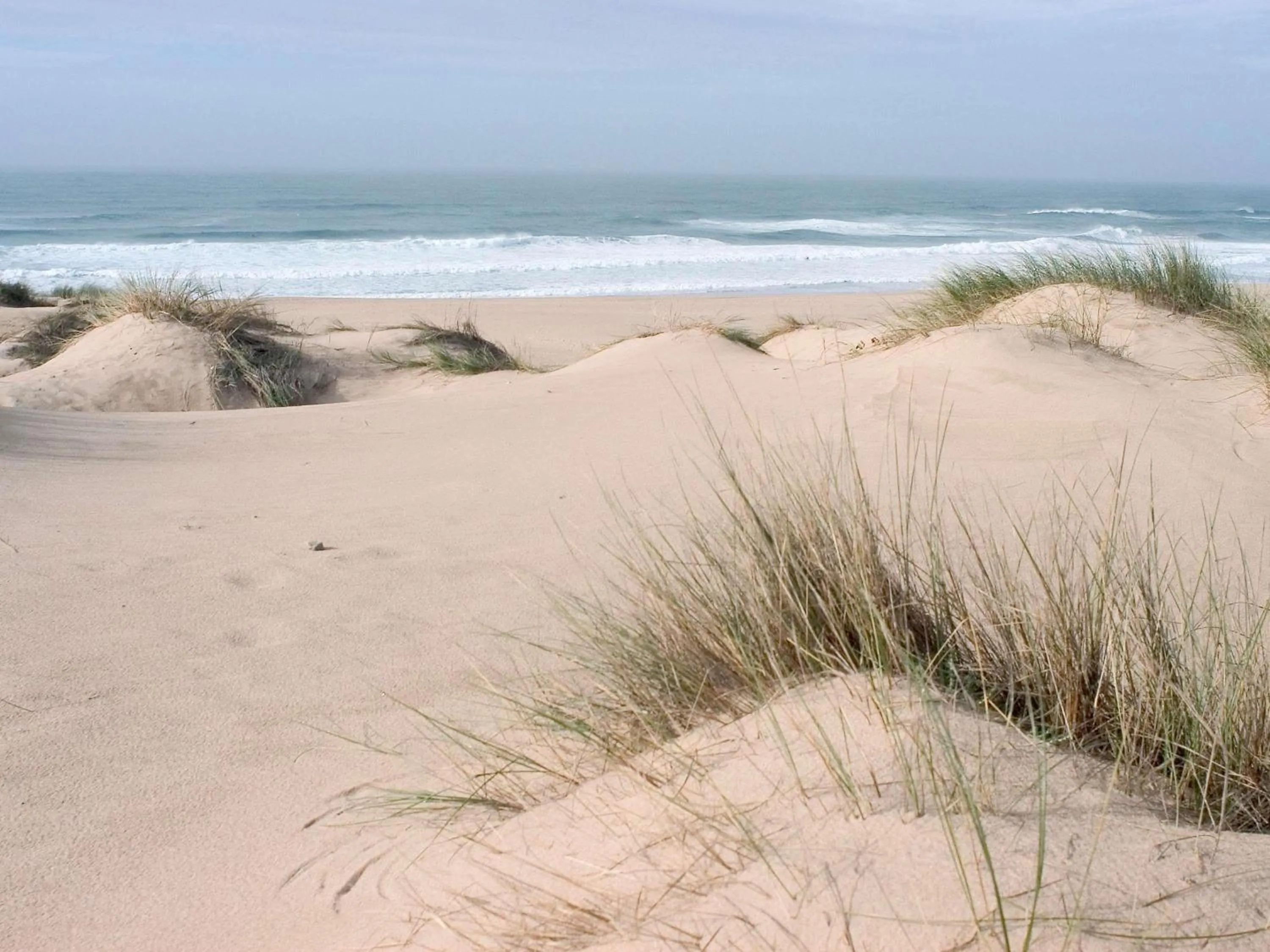 Other in Hotel ibis Lisboa Jose Malhoa