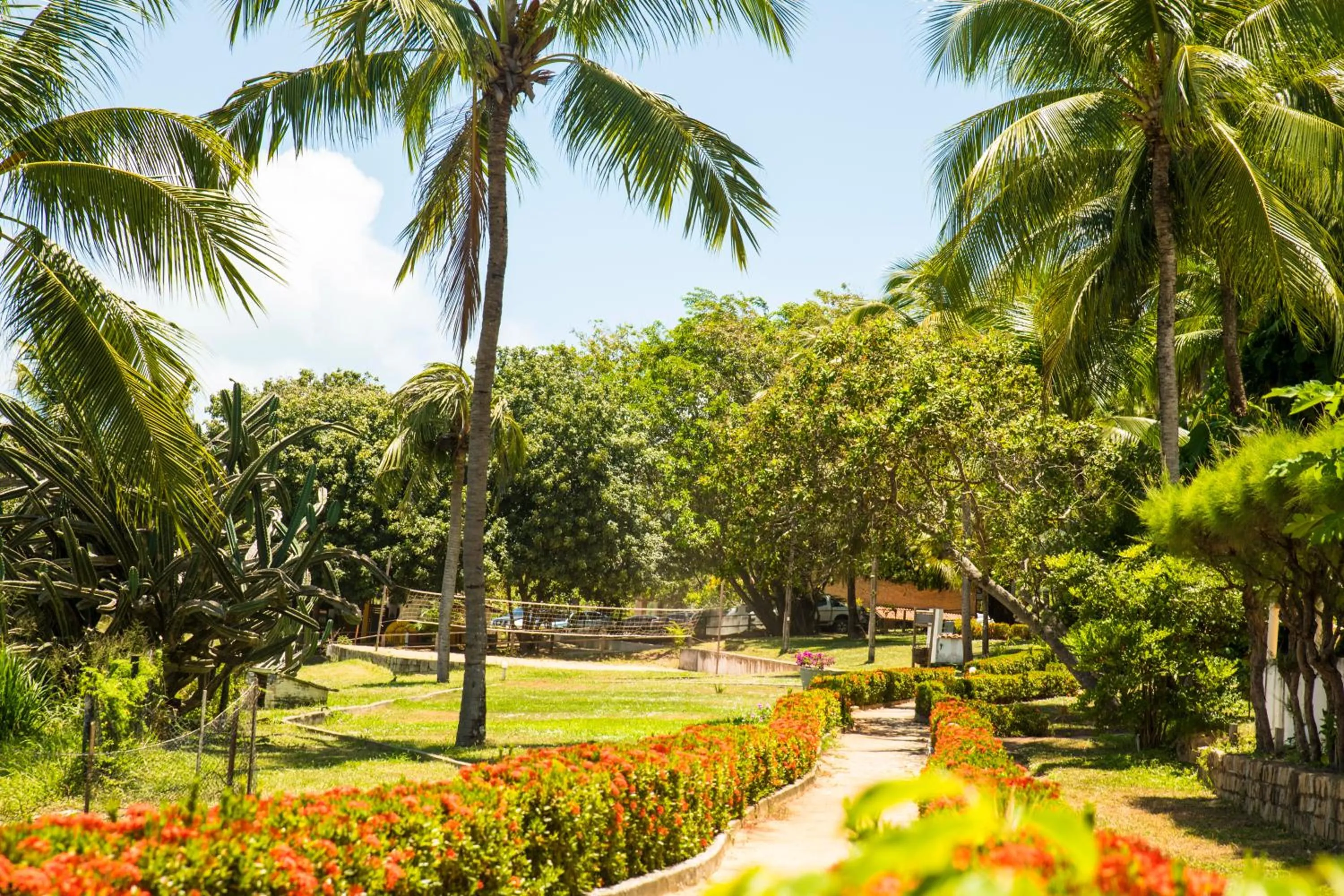 Garden in Hotel Marinas