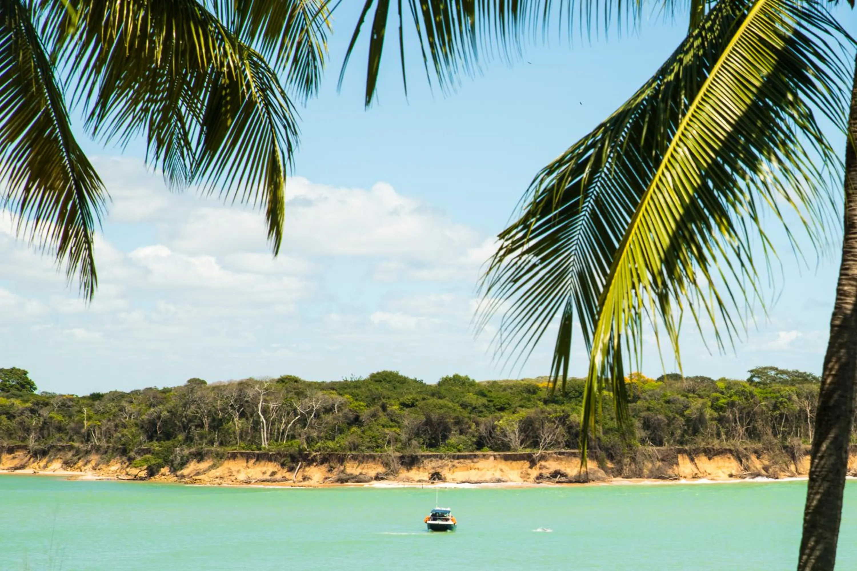 Garden view in Hotel Marinas