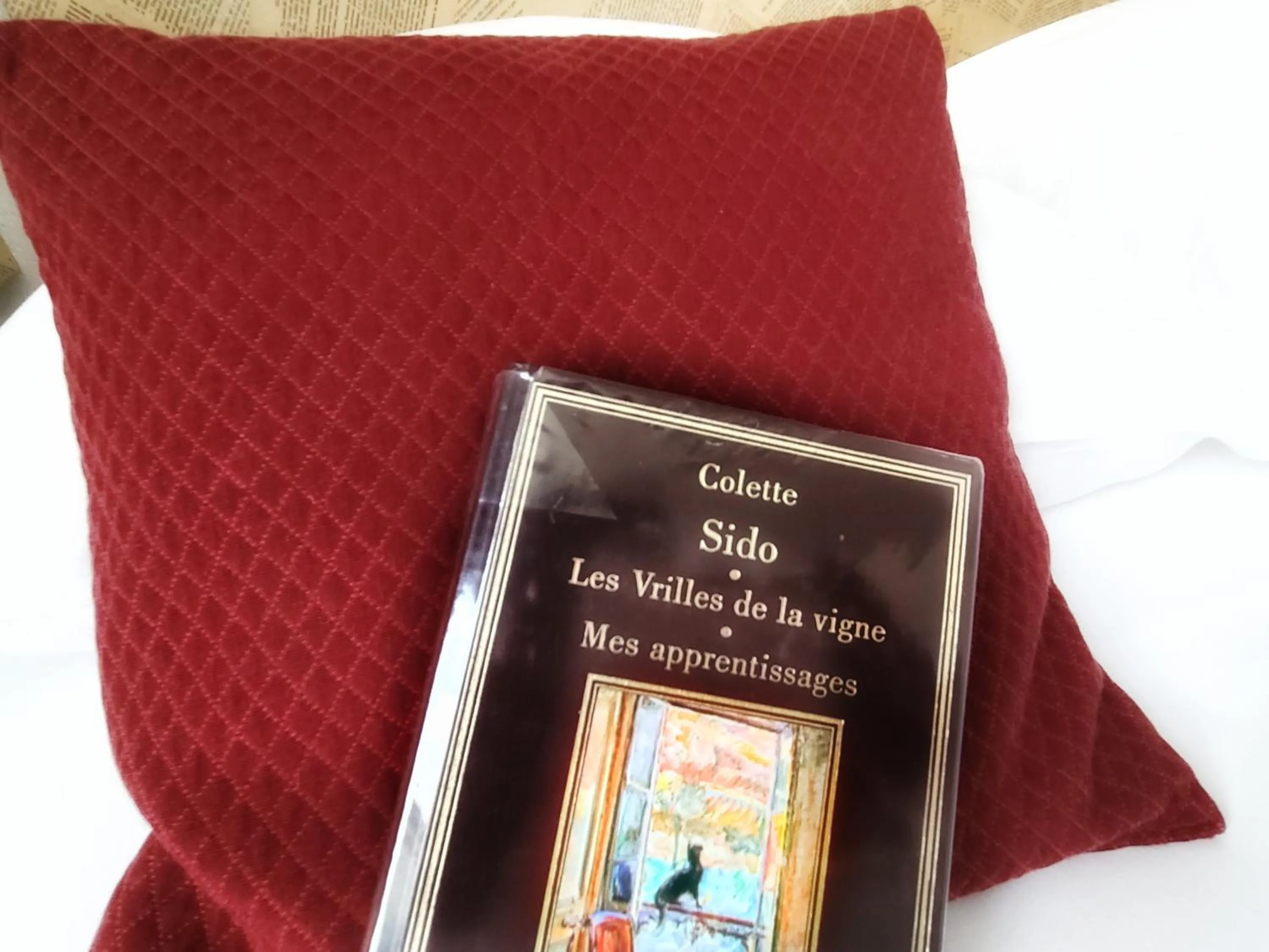 Decorative detail in Hôtel Mille et une Feuilles