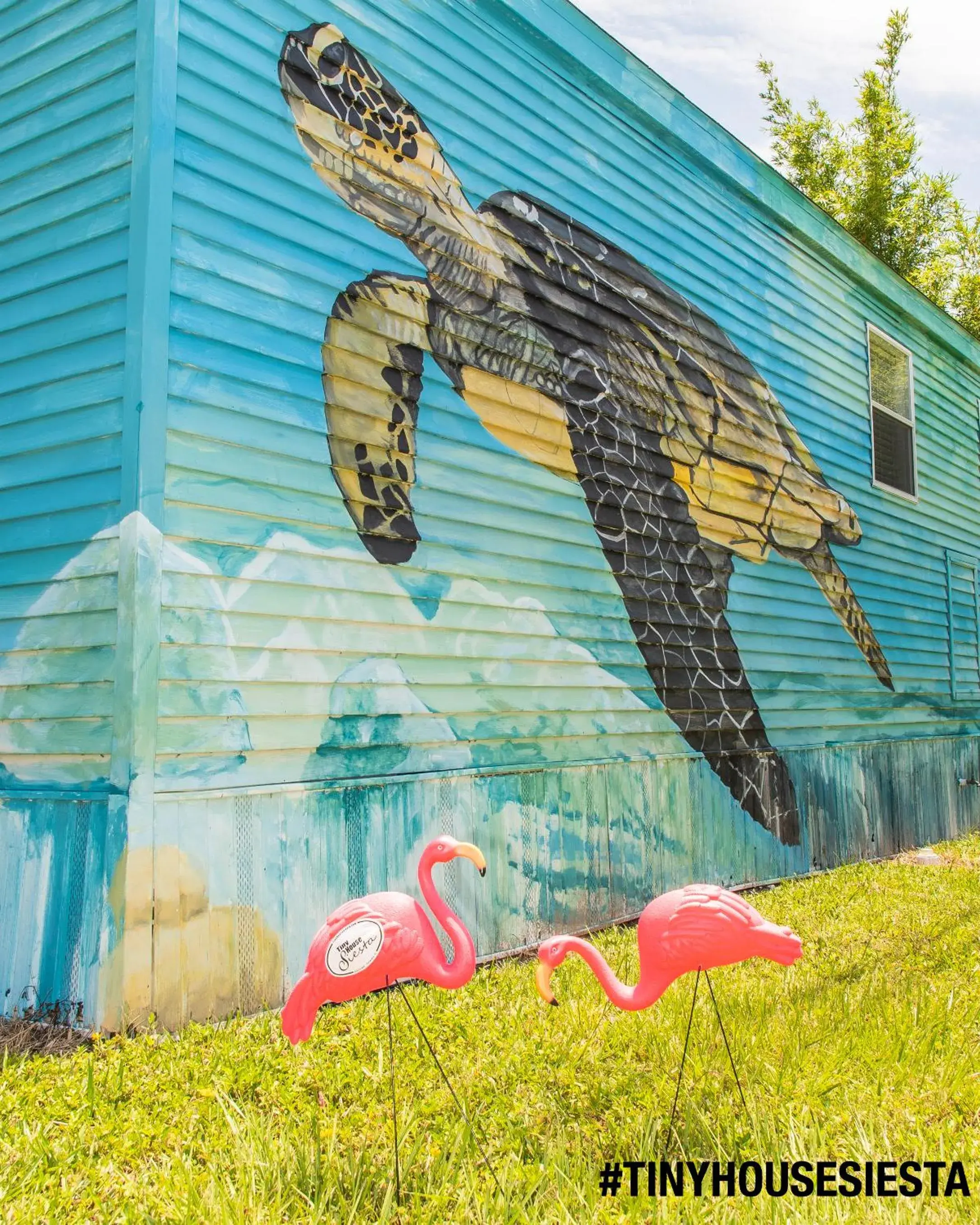 Sea Turtle in Tiny House Siesta Sea Turtle in Tiny House Siesta