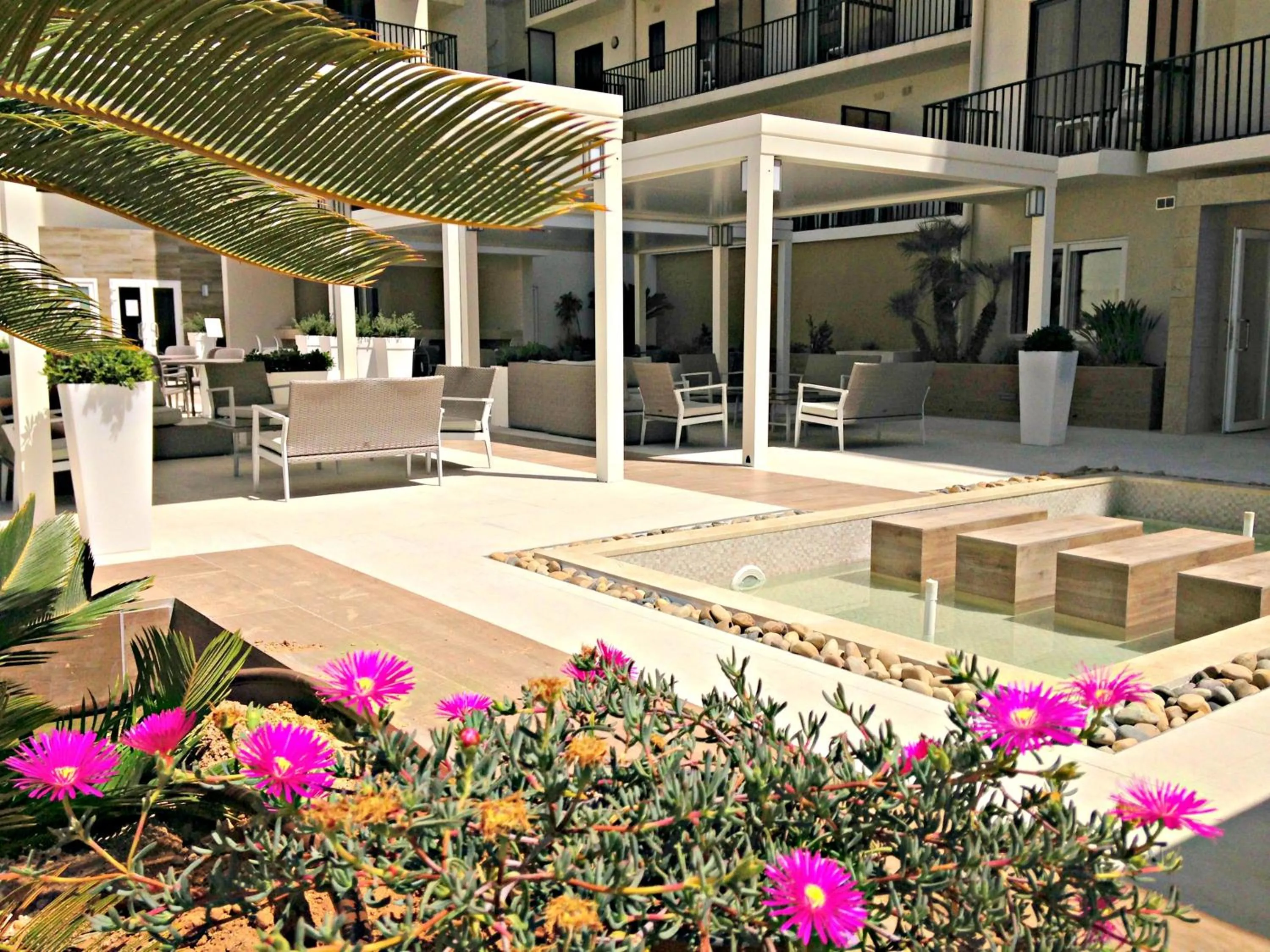 Garden in Hotel Santana