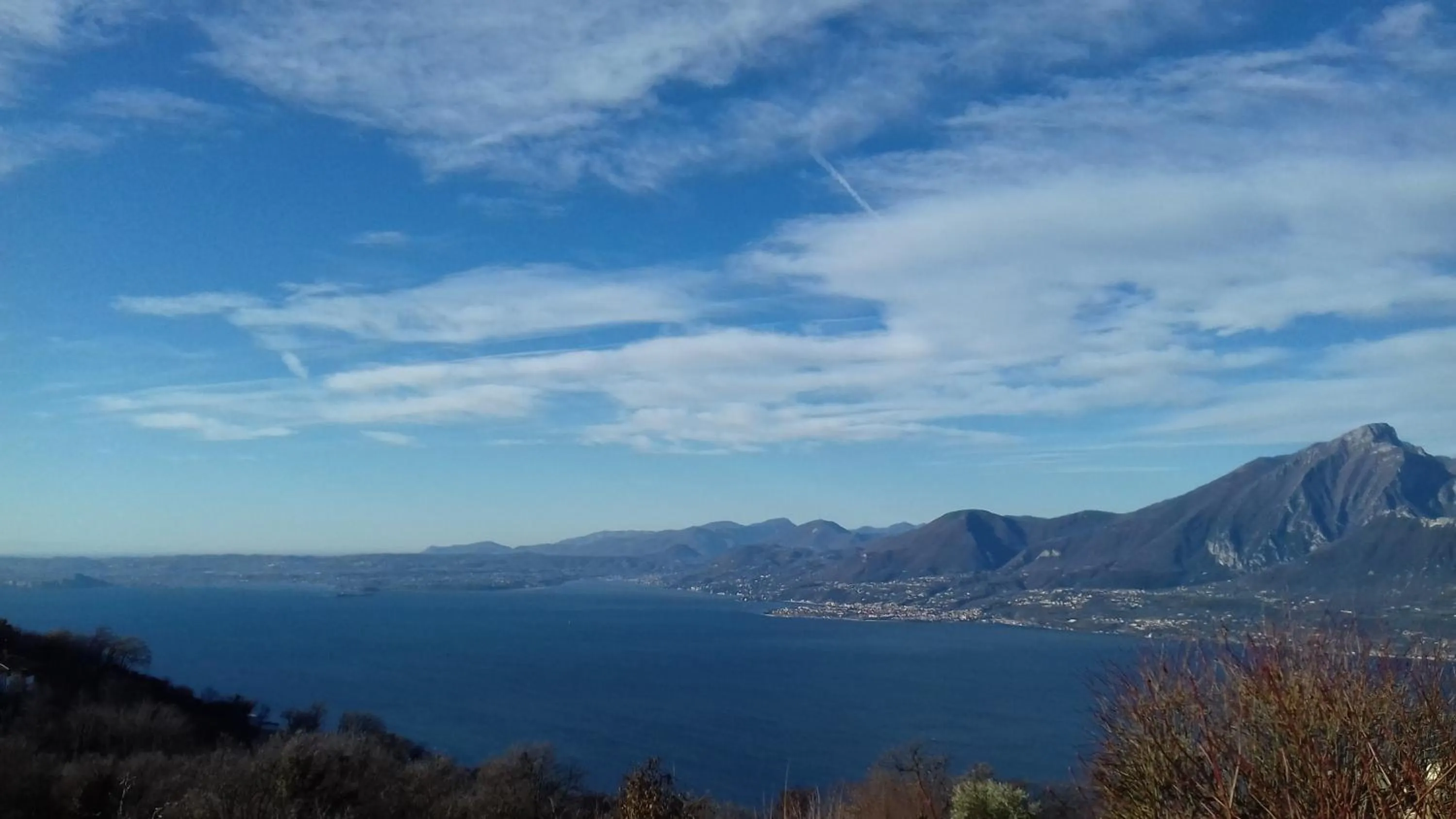 Natural landscape in Hotel Laguna