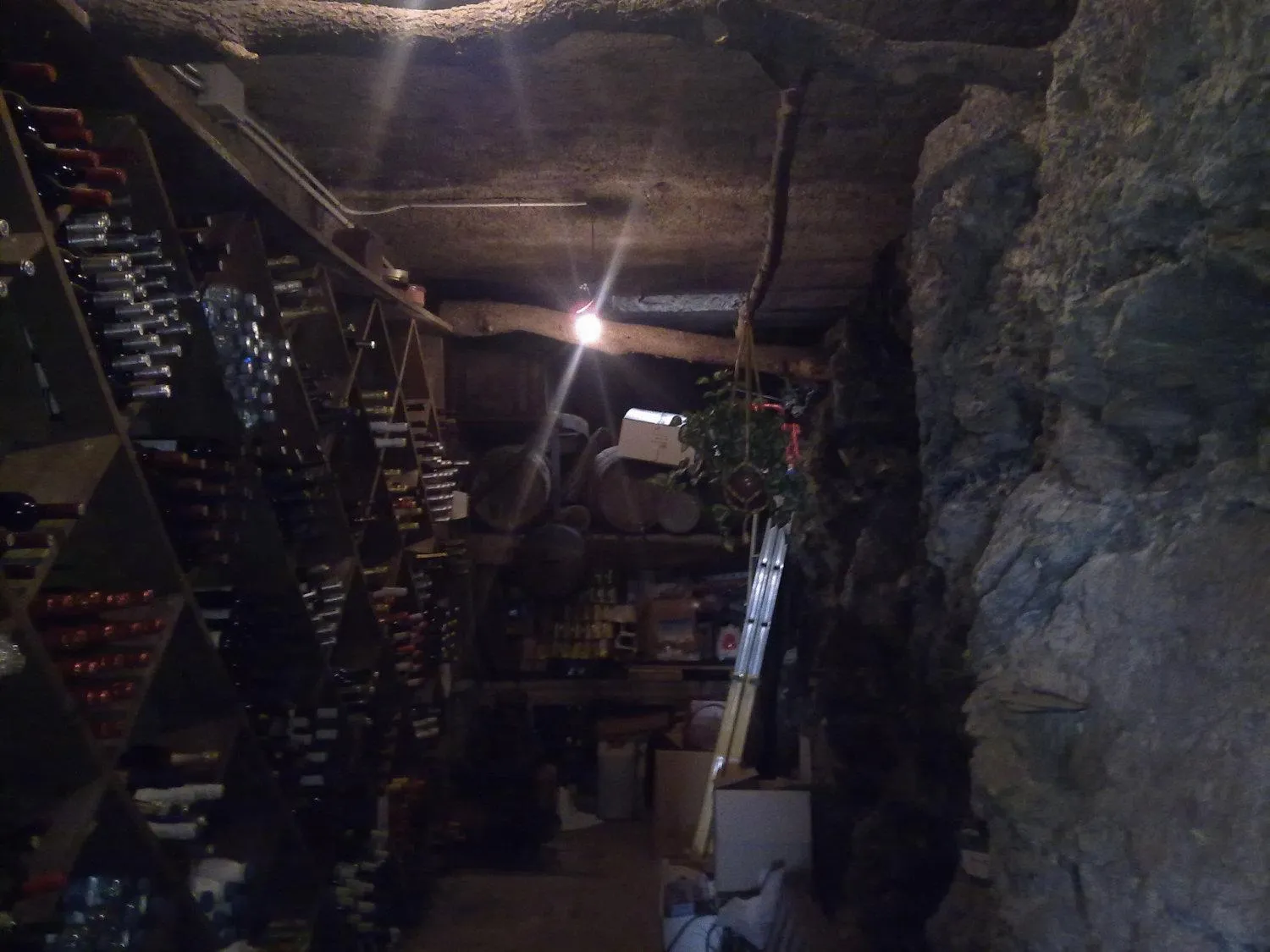 Other in Hotel Terralta