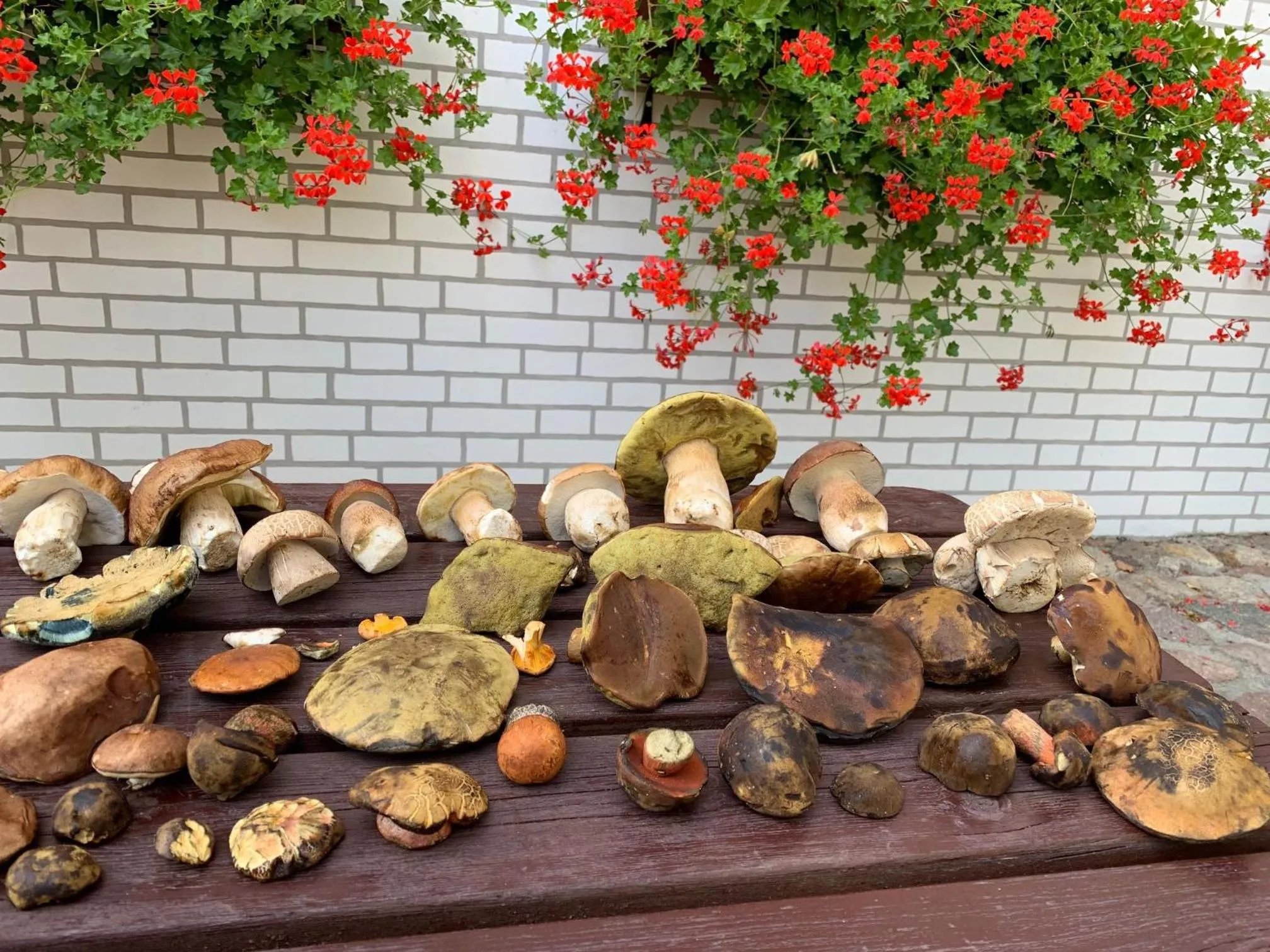 Day in Folwark Na Półwyspie