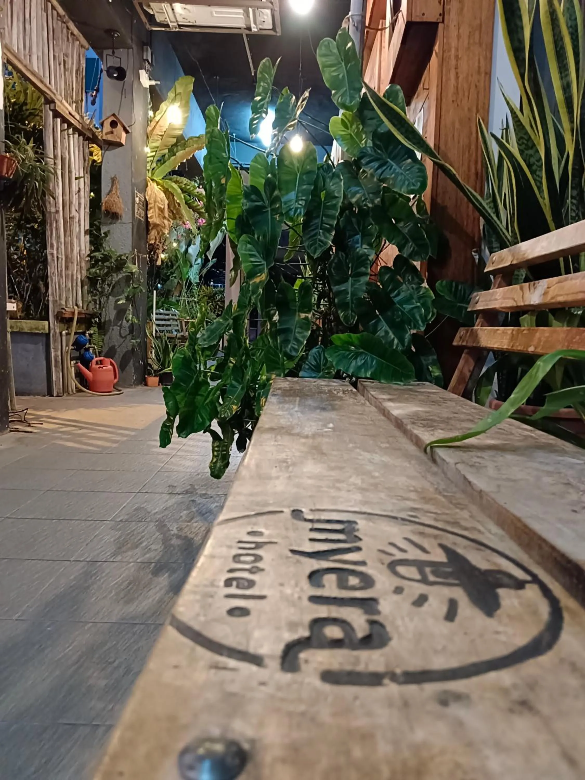 Garden in Myera Hotel