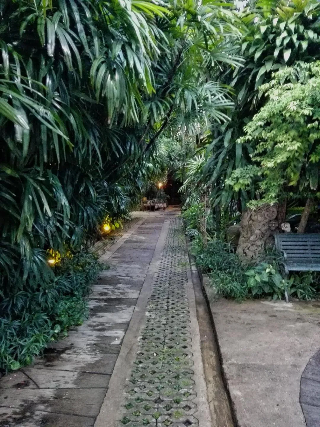 Property building, Garden in Gap's house