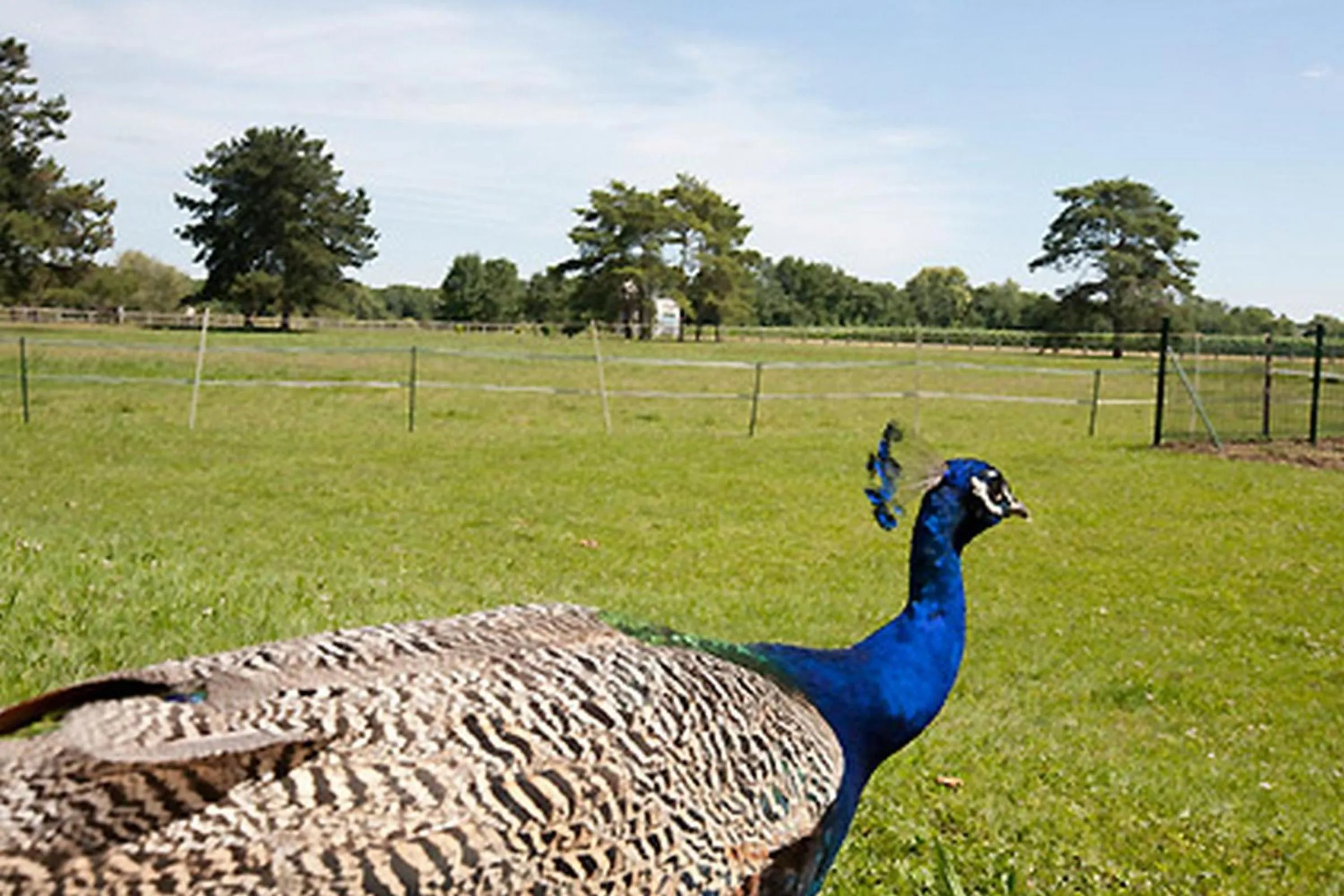 Other in Logis Hôtel Restaurant La Vieille Ferme, Mâcon Nord