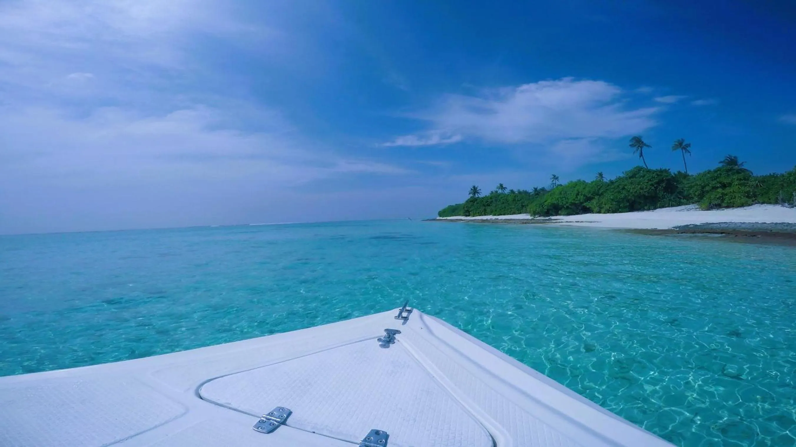 Beach in Annama Lodge and Dive