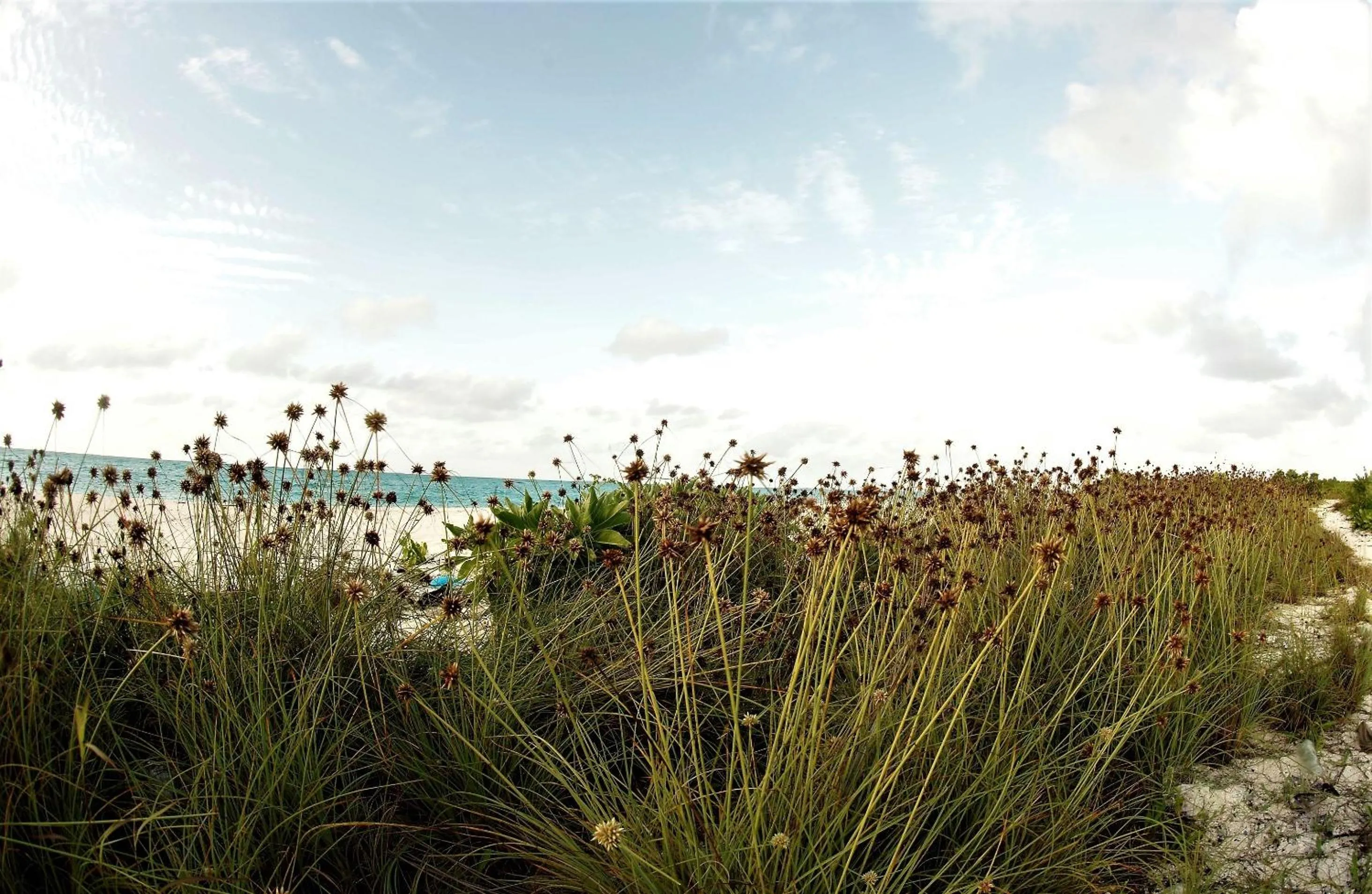 Nearby landmark in Annama Lodge and Dive