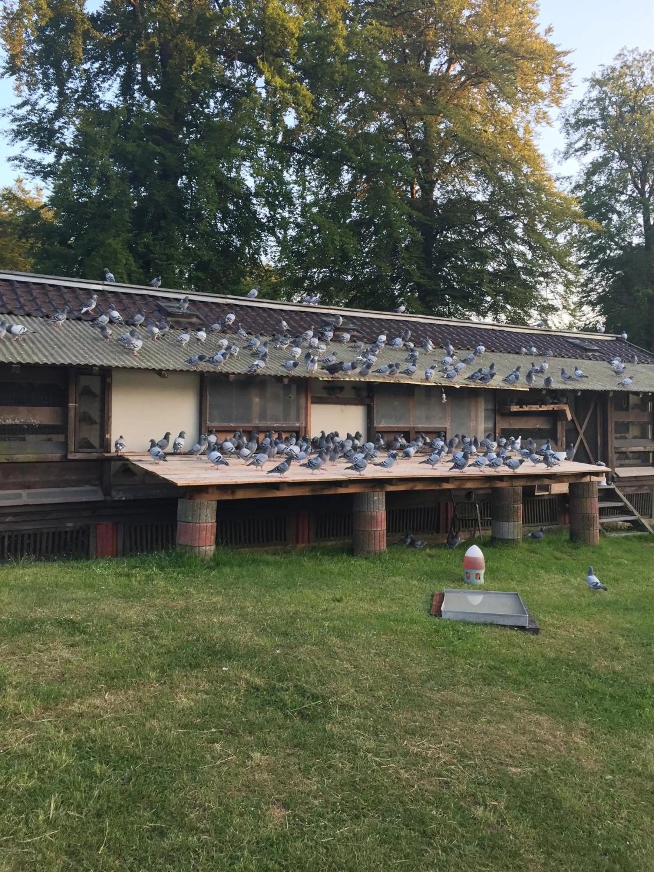 Day in Hotel-Restaurant Johanniskreuz