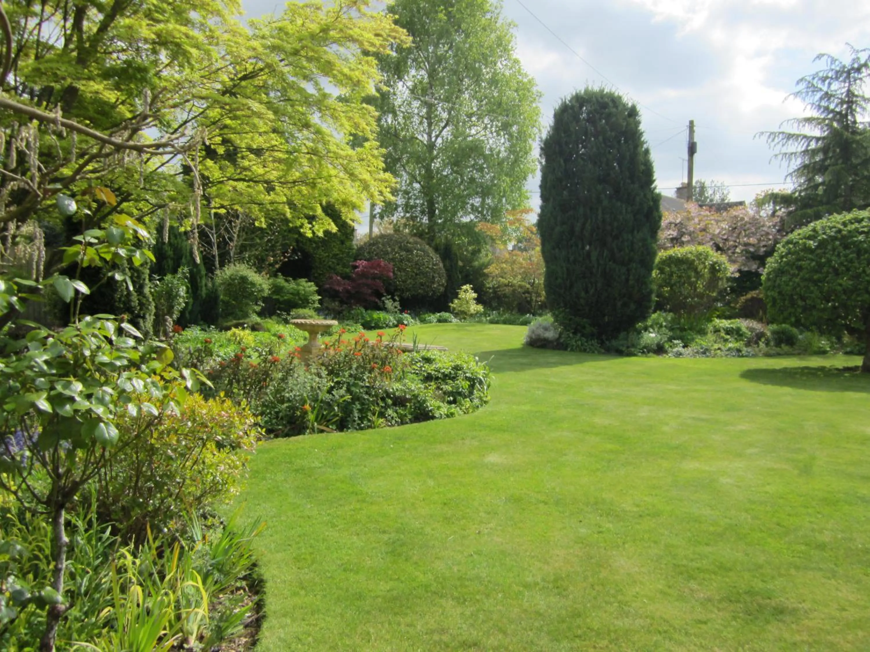 Garden in Coombe House