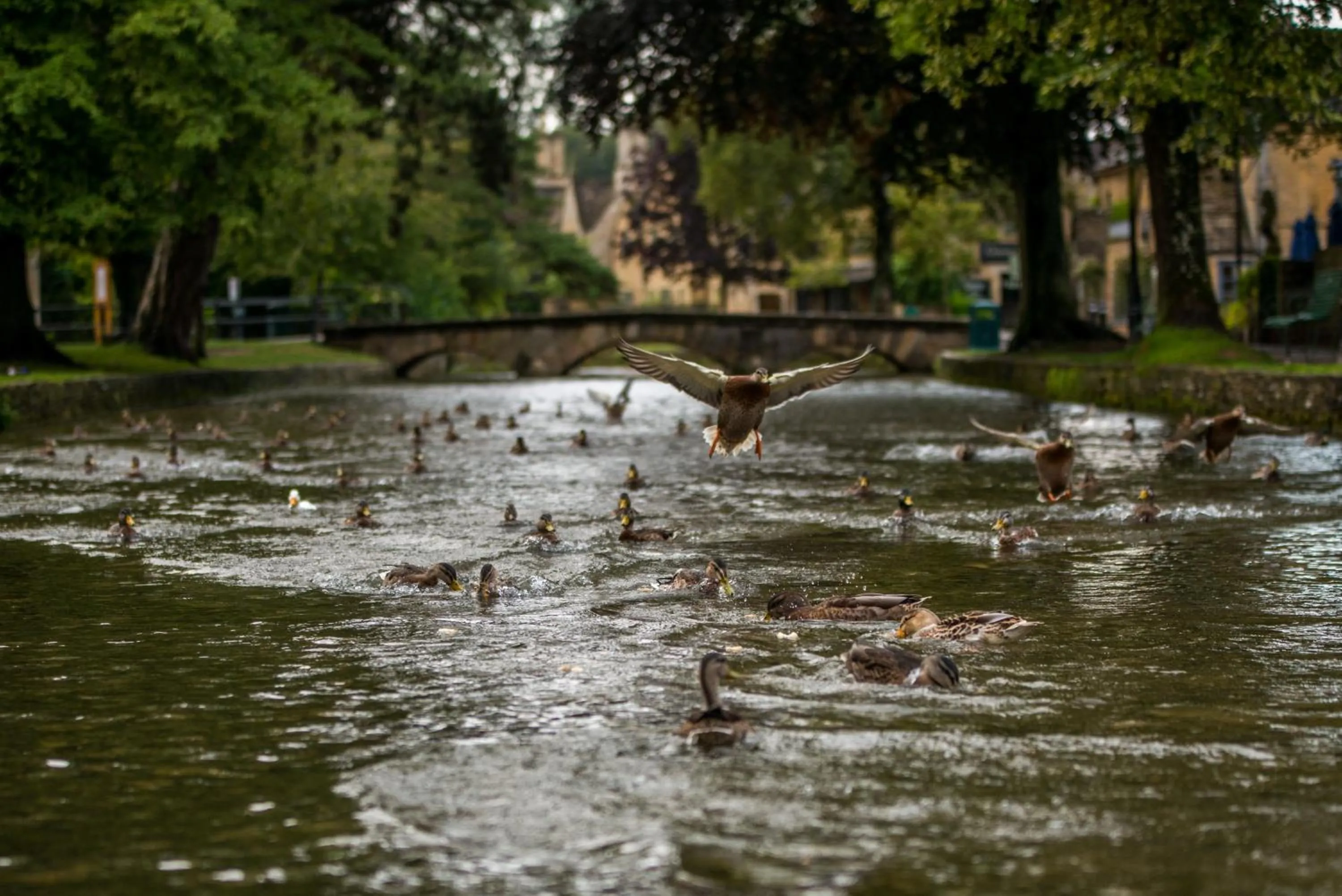 Nearby landmark in Coombe House