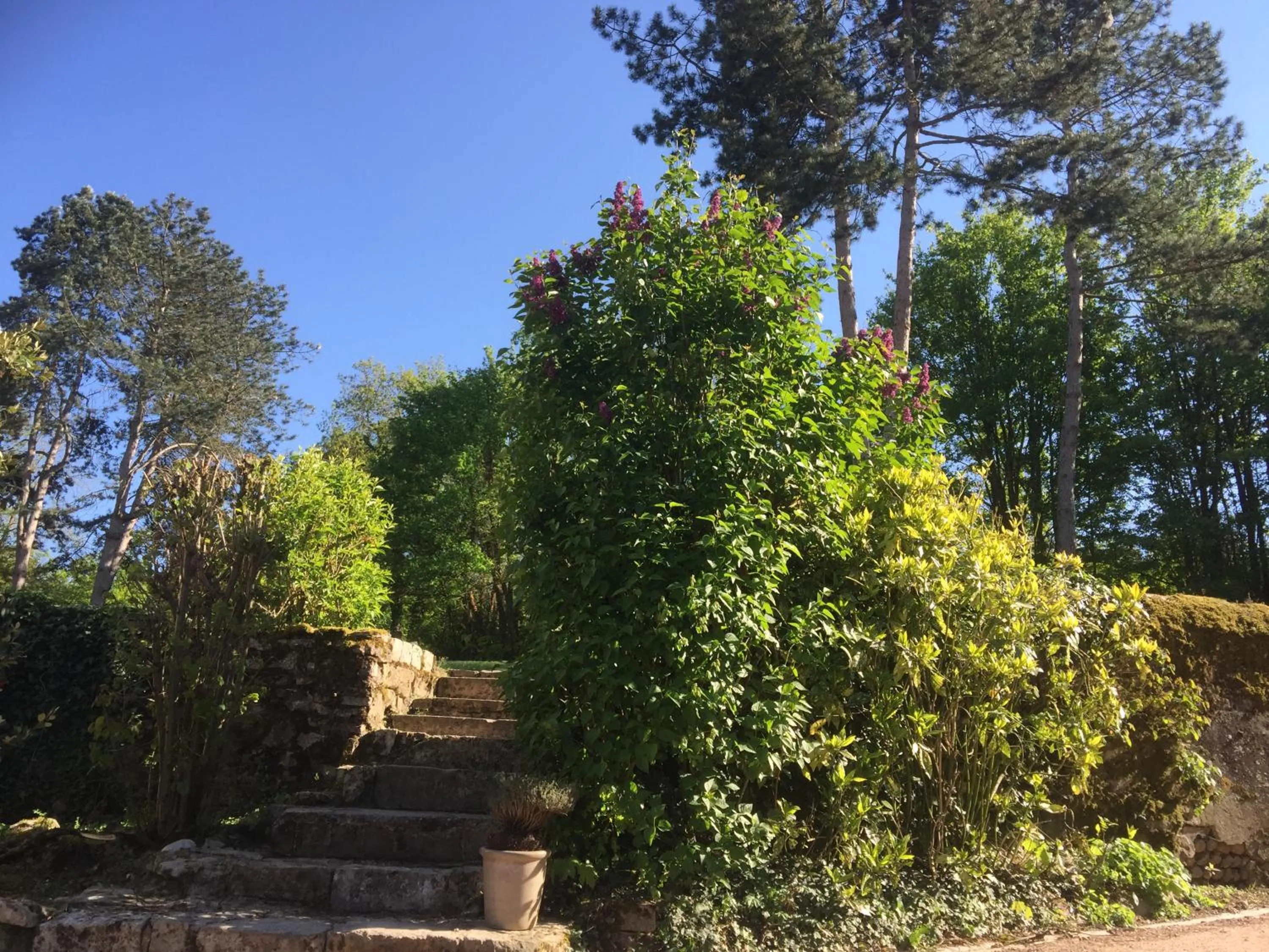 Garden in Le Moulin de Saint-Julien
