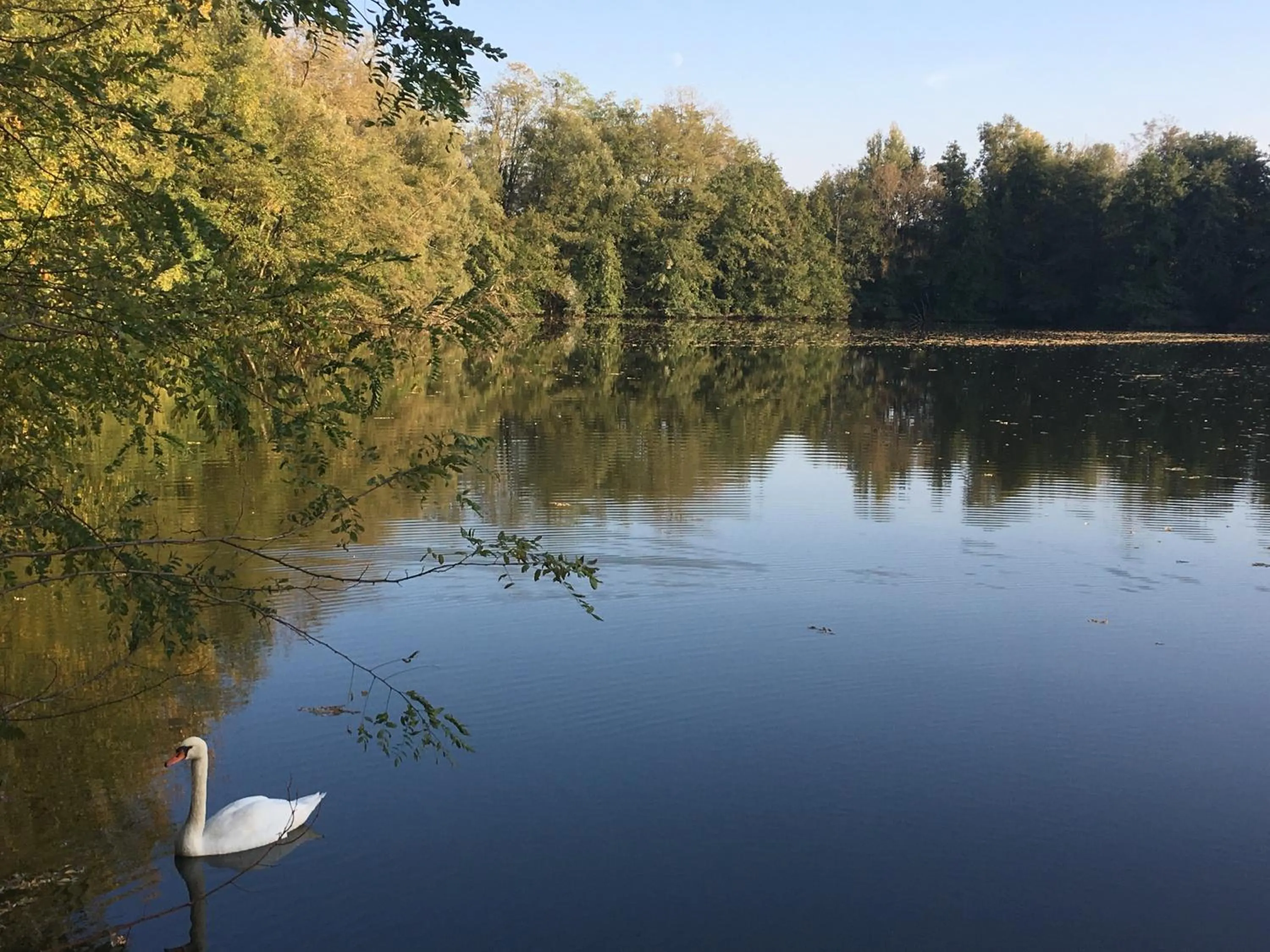 Fishing in Le Moulin de Saint-Julien