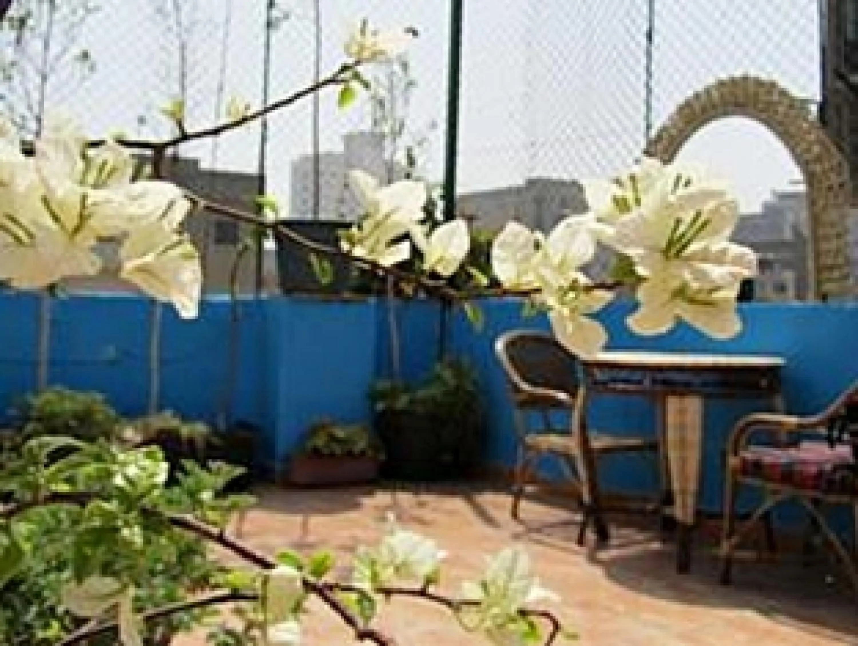 Restaurant/places to eat in Arabian Nights Hostel