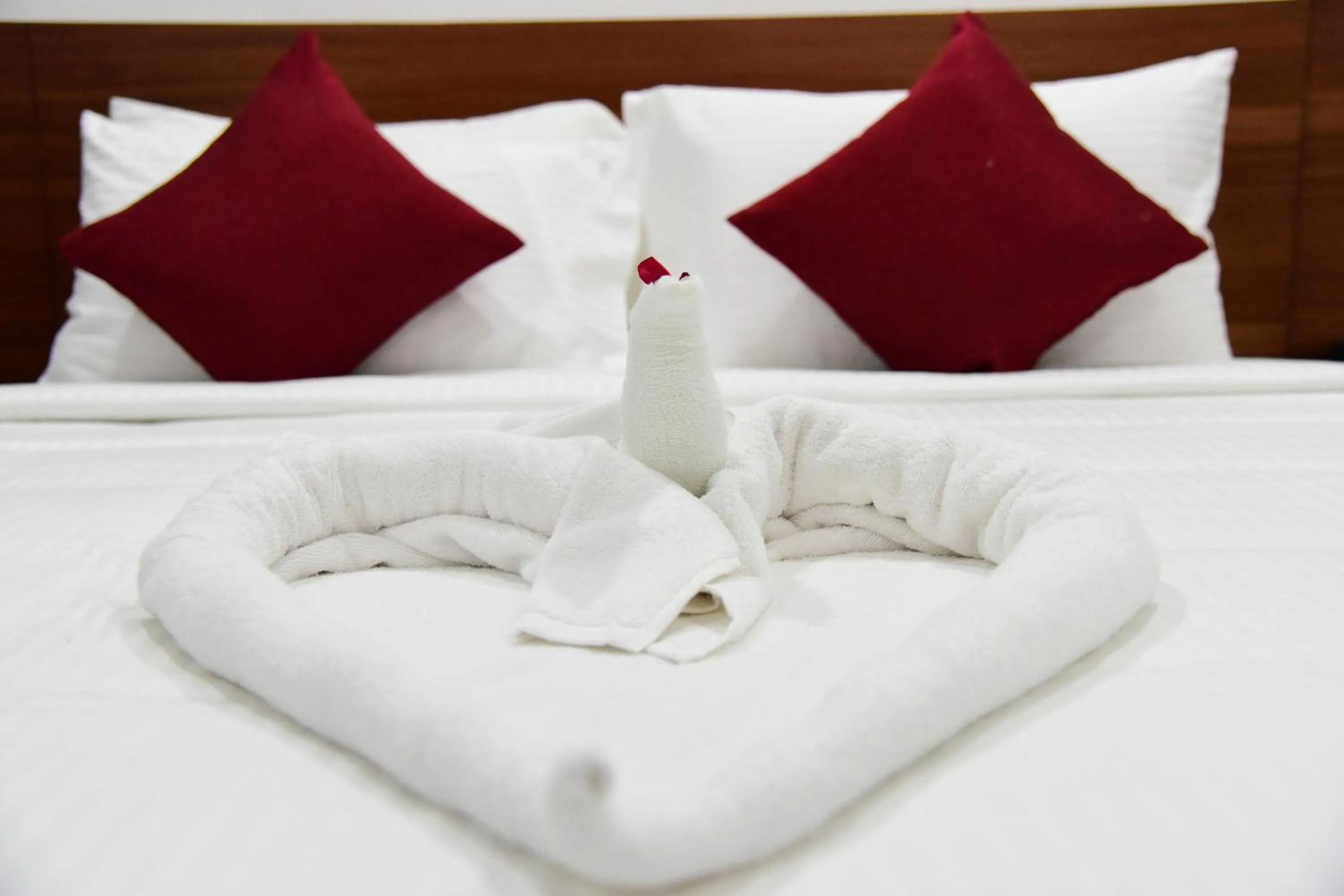 bunk bed, Bed in The Royal Comfort