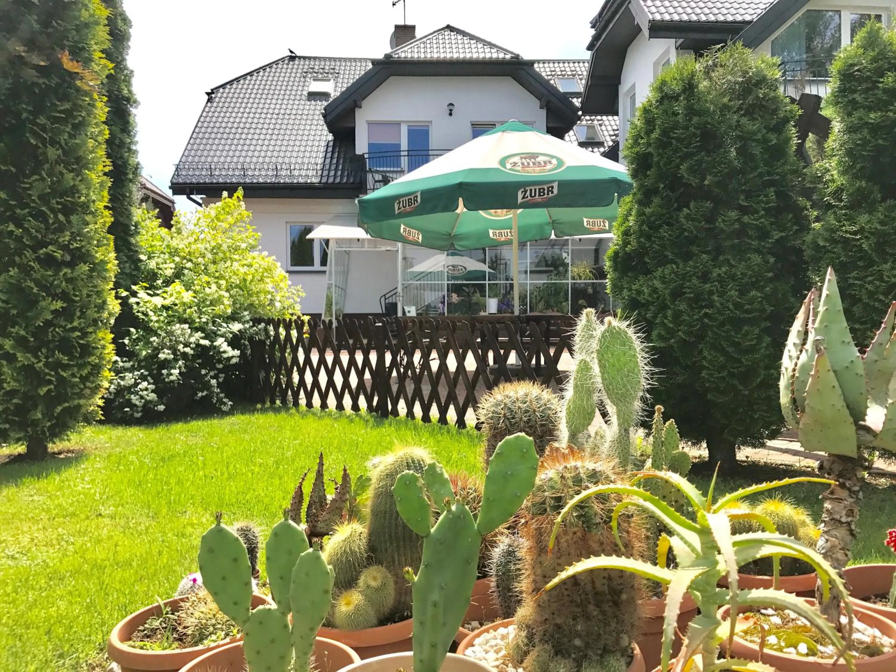 Garden in VITA Augustów