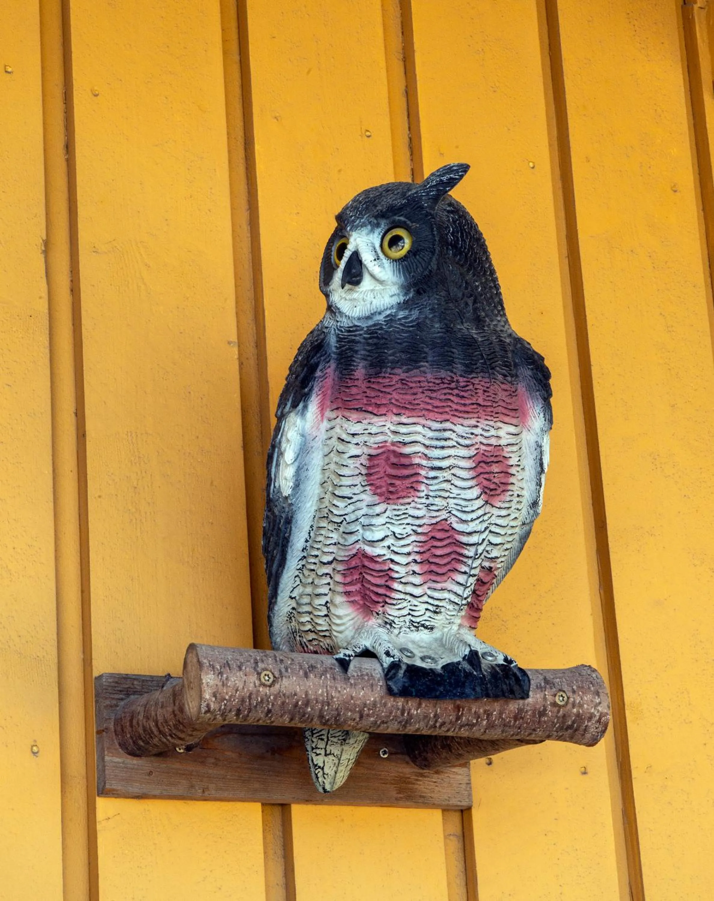 Animals in Sandmoen Bed & Breakfast, Free Parking