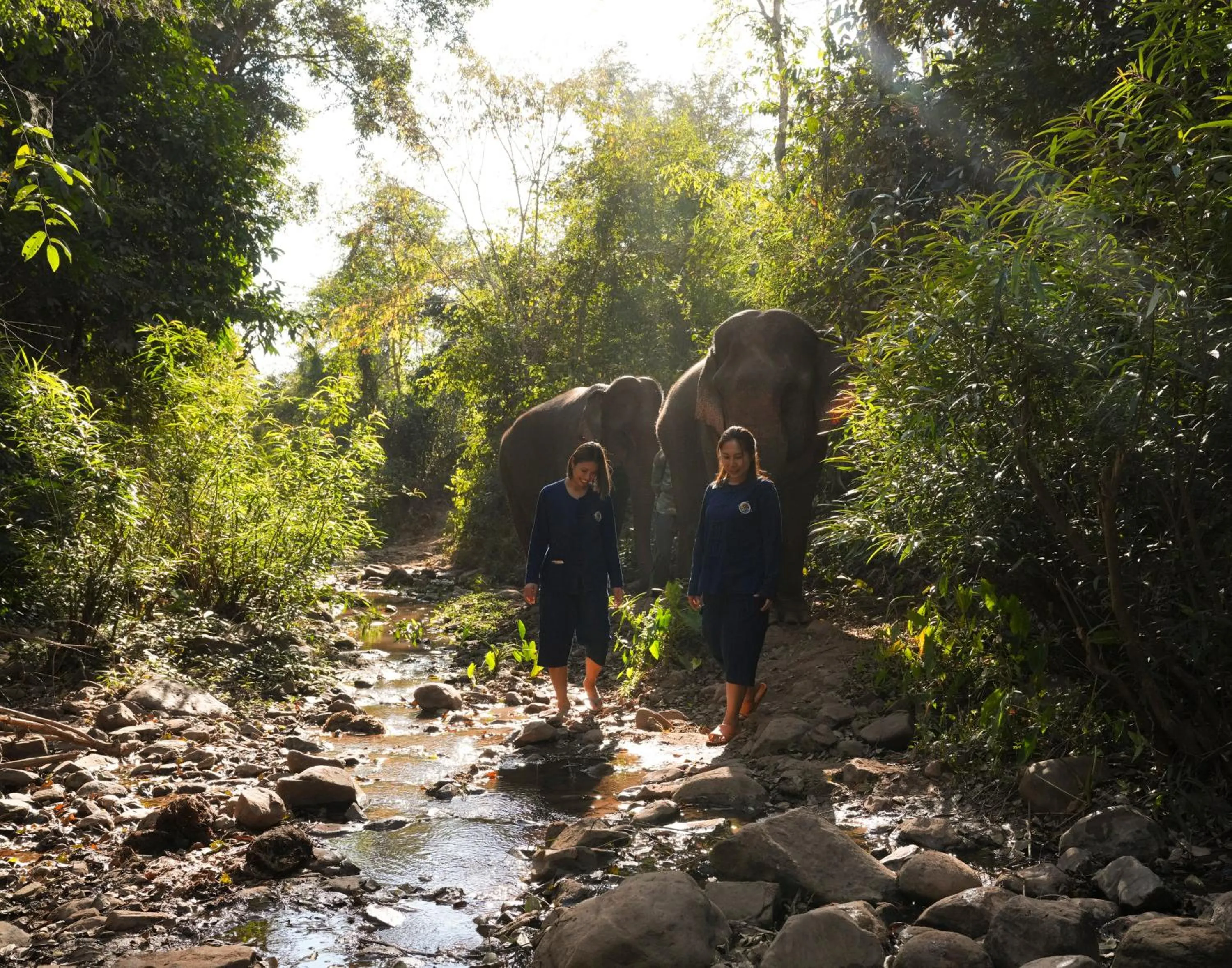 Entertainment in La Résidence Phou Vao