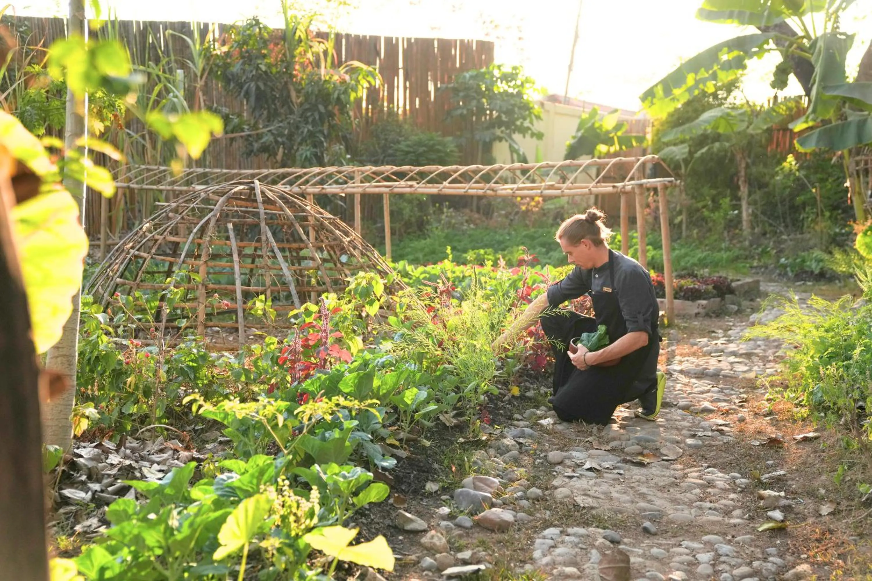 Garden in La Résidence Phou Vao