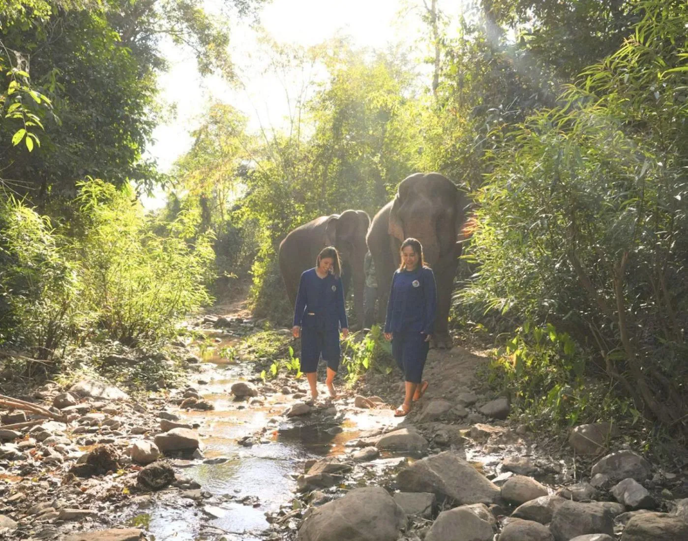 Activities in La Résidence Phou Vao