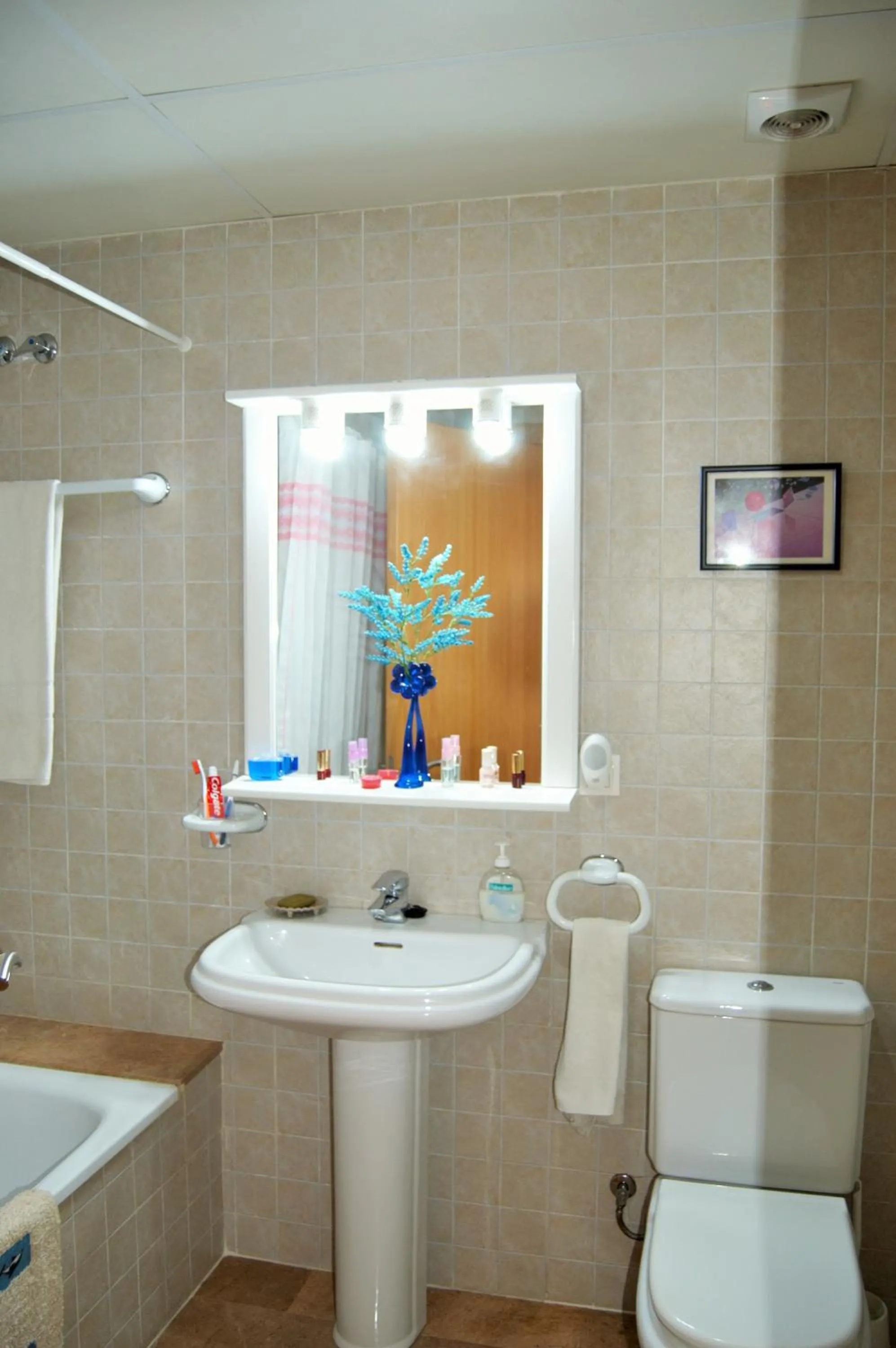 Bathroom in Apartamento Ainara Garden Family