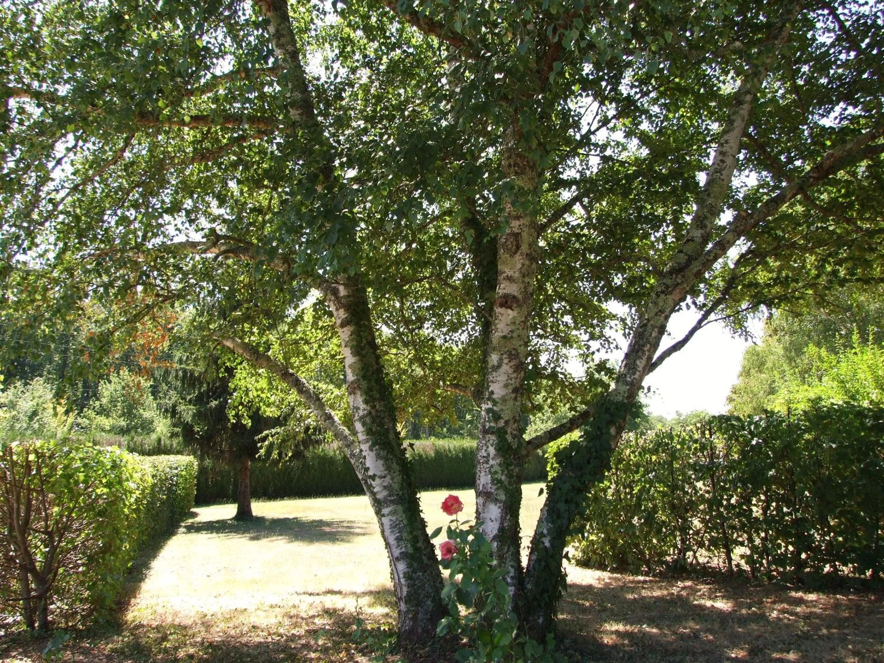 Garden in Les Feuillantines Perigord Noir