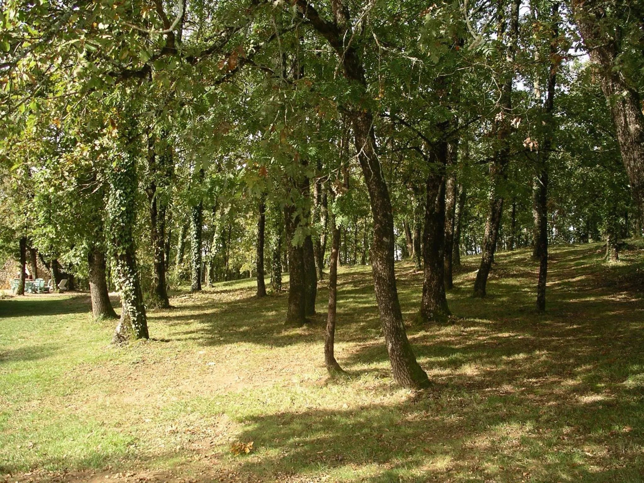 Garden in Les Feuillantines Perigord Noir