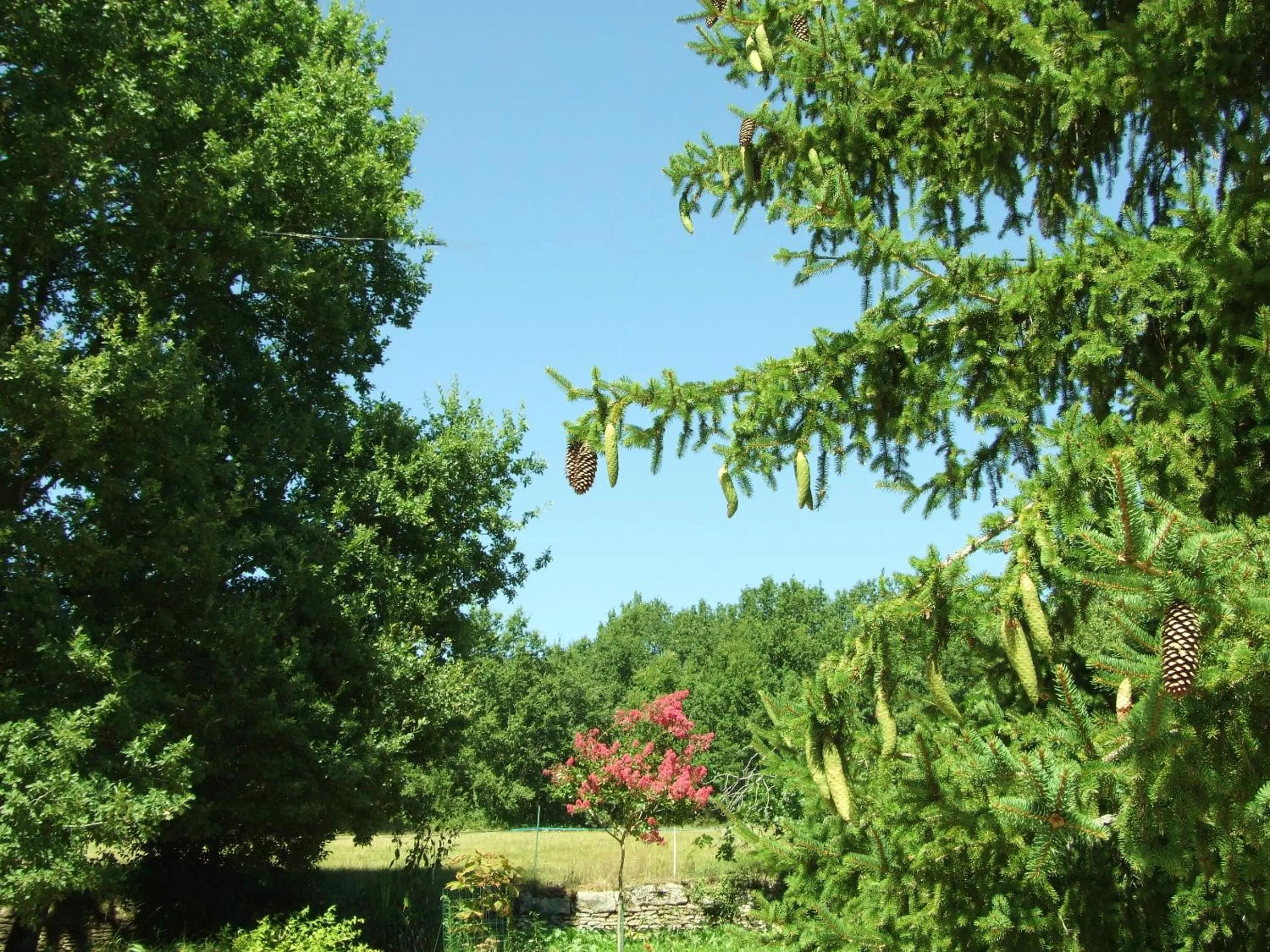 Garden in Les Feuillantines Perigord Noir