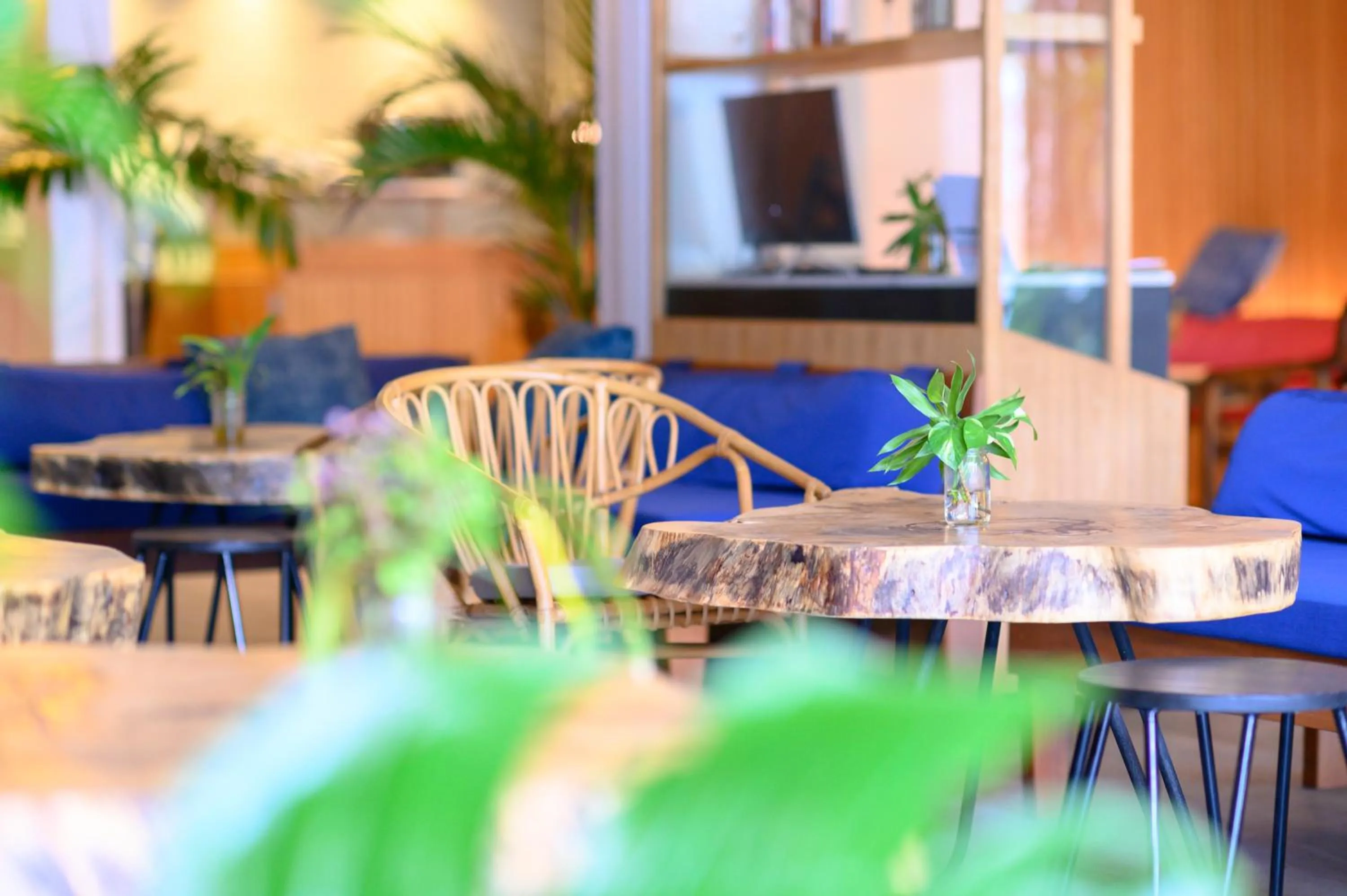 Restaurant/Places to Eat in Quarter 09 Beach