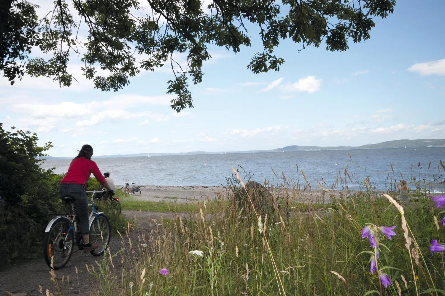 Natural landscape in Thon Partner Hotel Horten
