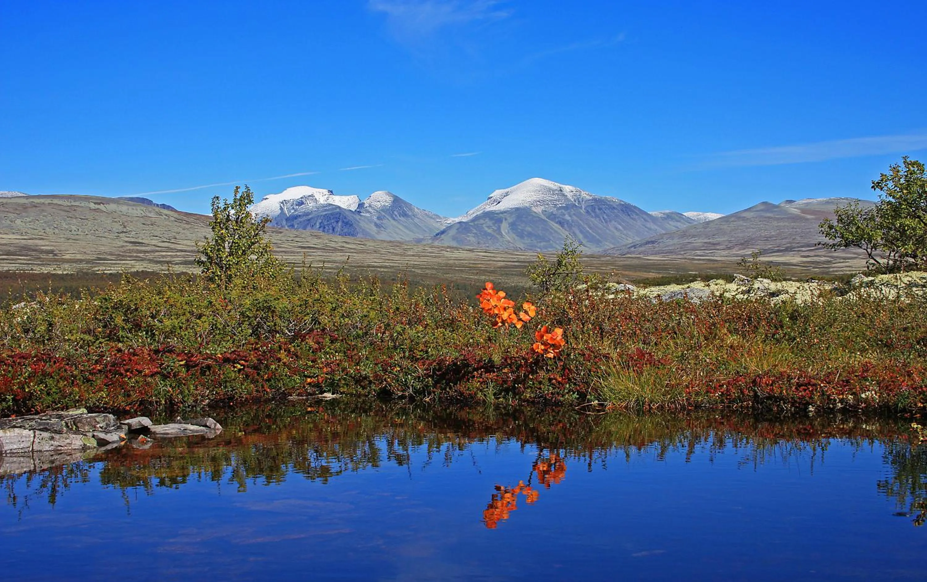 Natural landscape in Thon Partner Hotel Otta