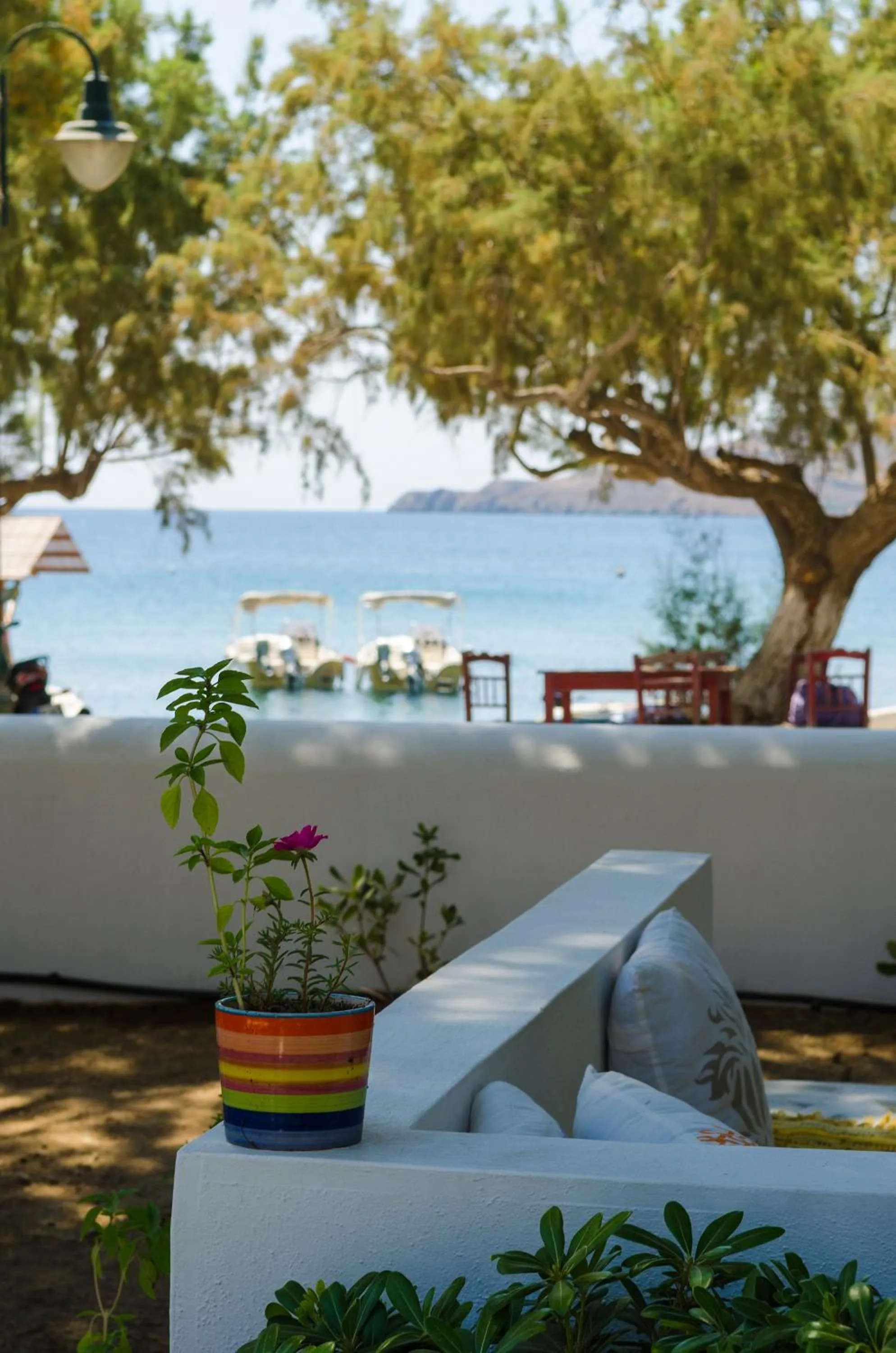 Patio in Mouras studios