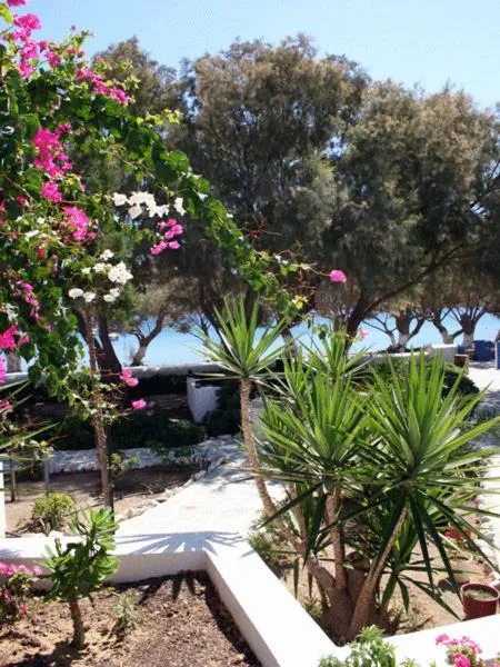 Day in Mouras studios