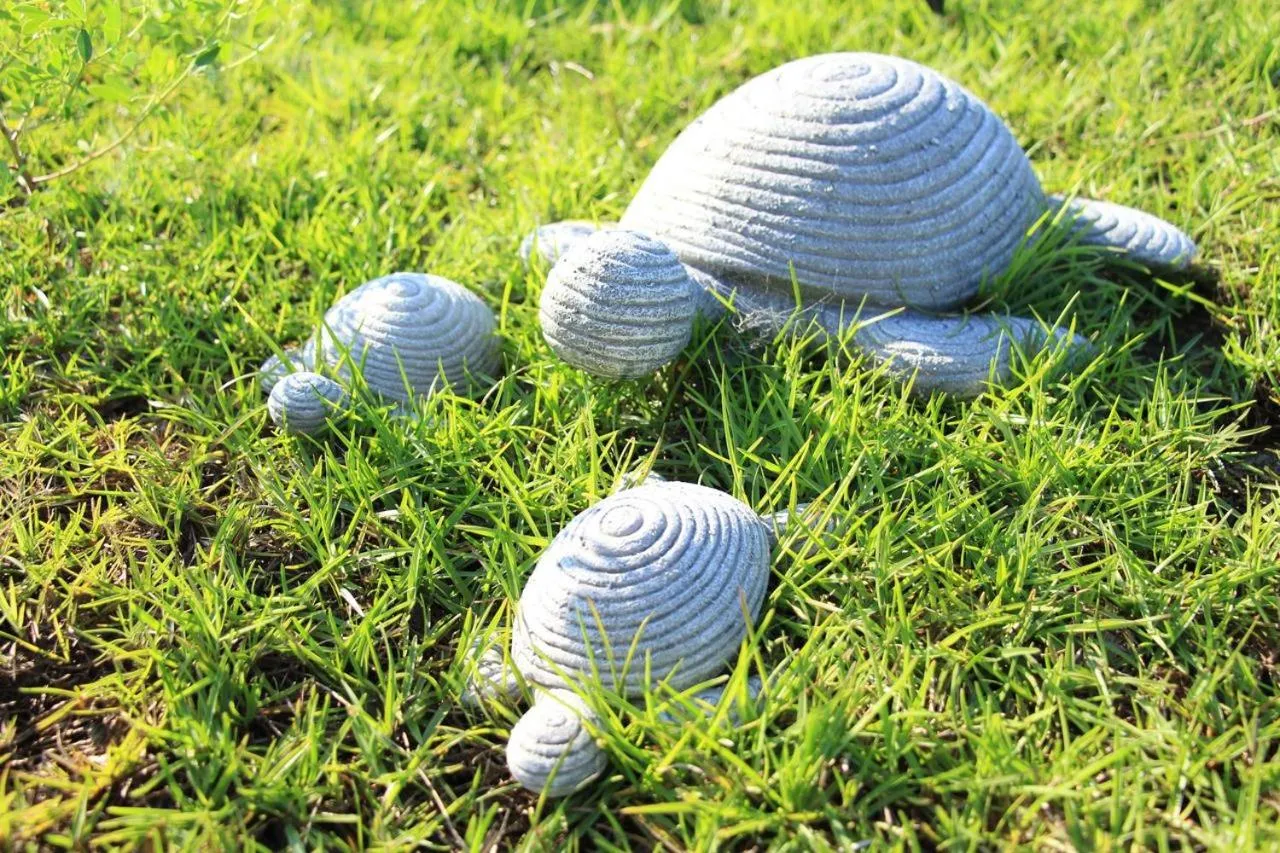 Garden in Hi Kids B&B