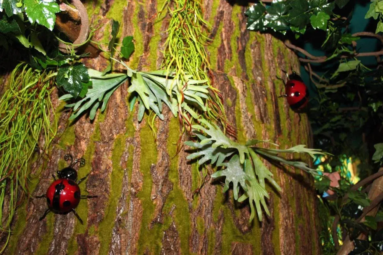 Mountain View Large Family Room With Balcony in Hi Kids B&B Mountain View Large Family Room With Balcony in Hi Kids B&B