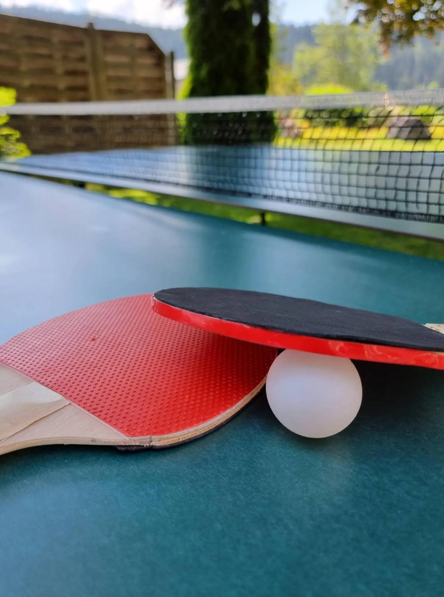 Table tennis in Hotel Matschner