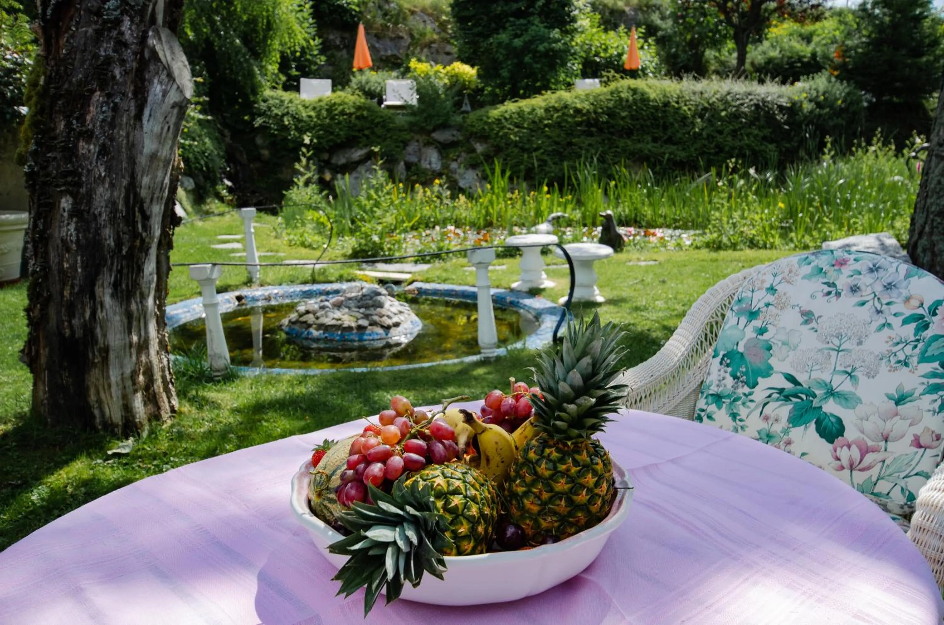 Garden in Boutique-Hotel Bauer