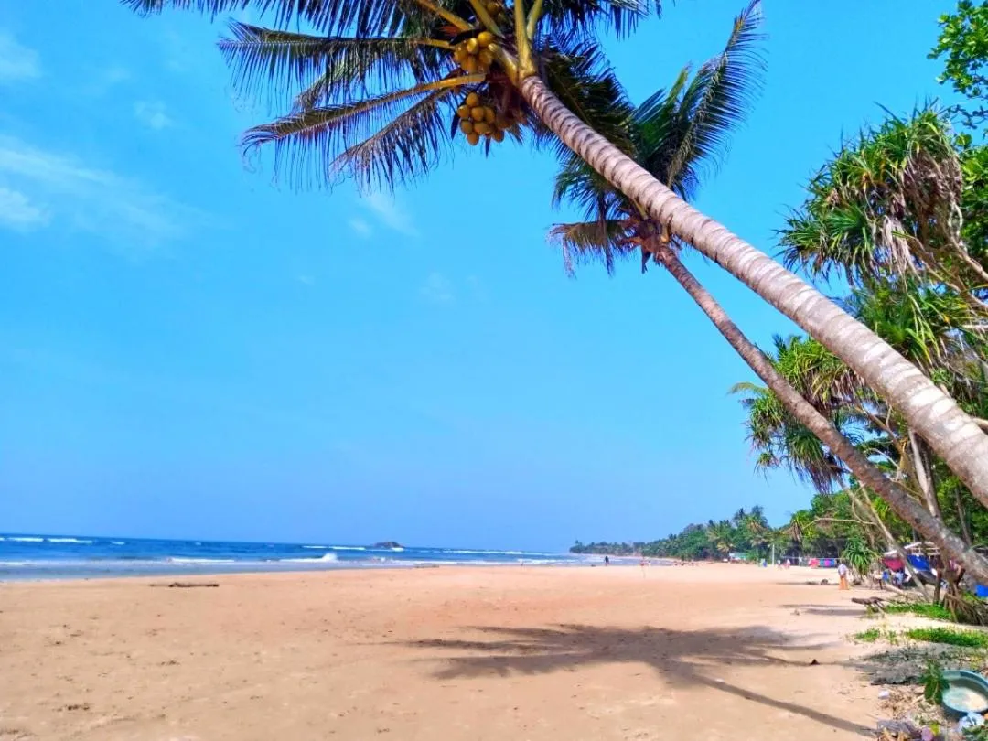 Natural landscape in Lucky Prince Villa & Ayurveda Wellness