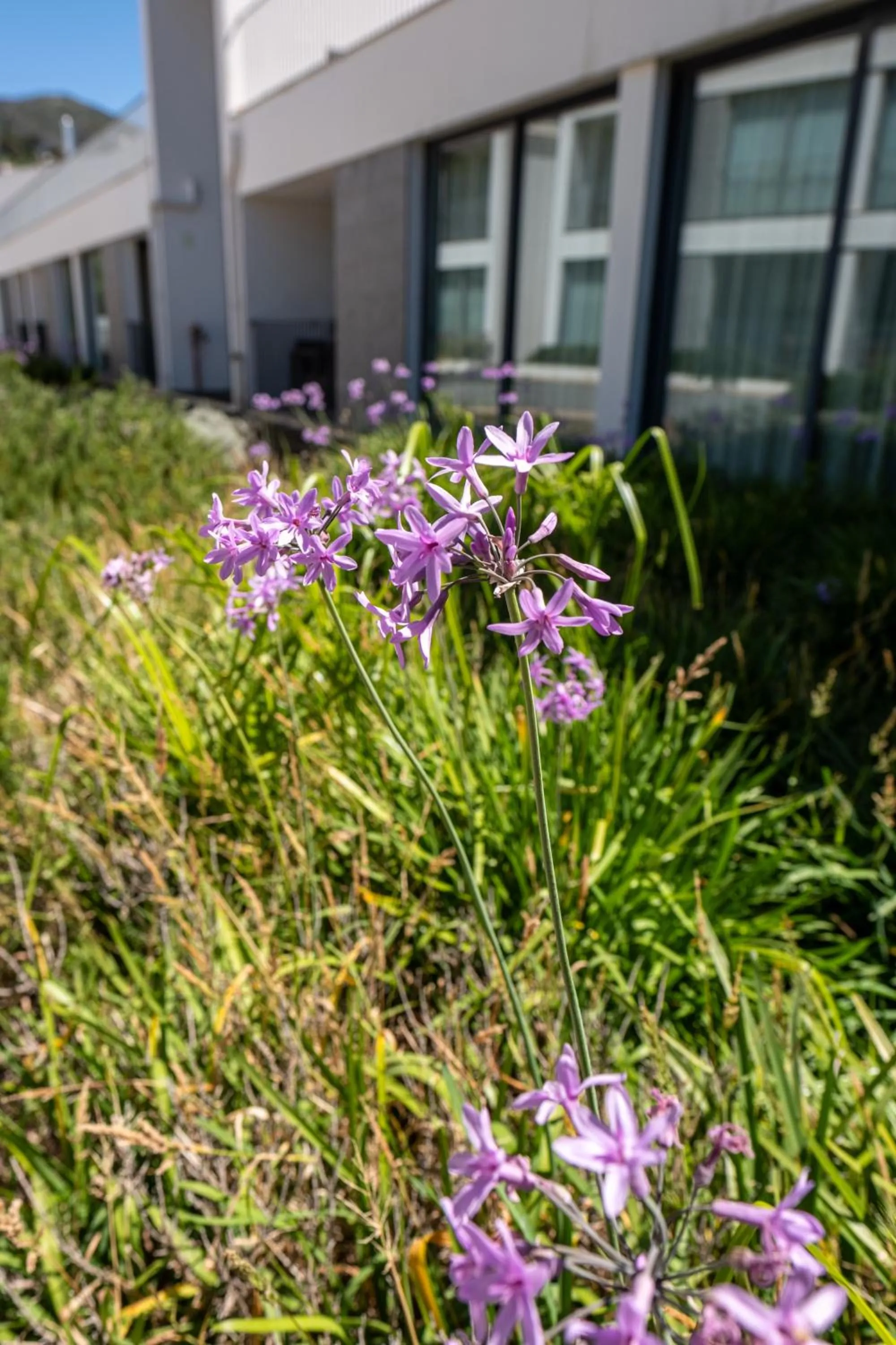 Garden in Monchique Resort & Spa