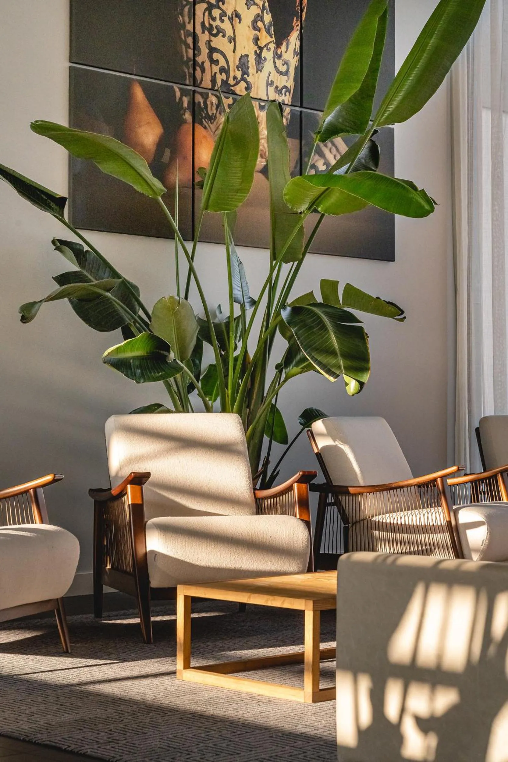 Lounge or bar in Monchique Resort & Spa