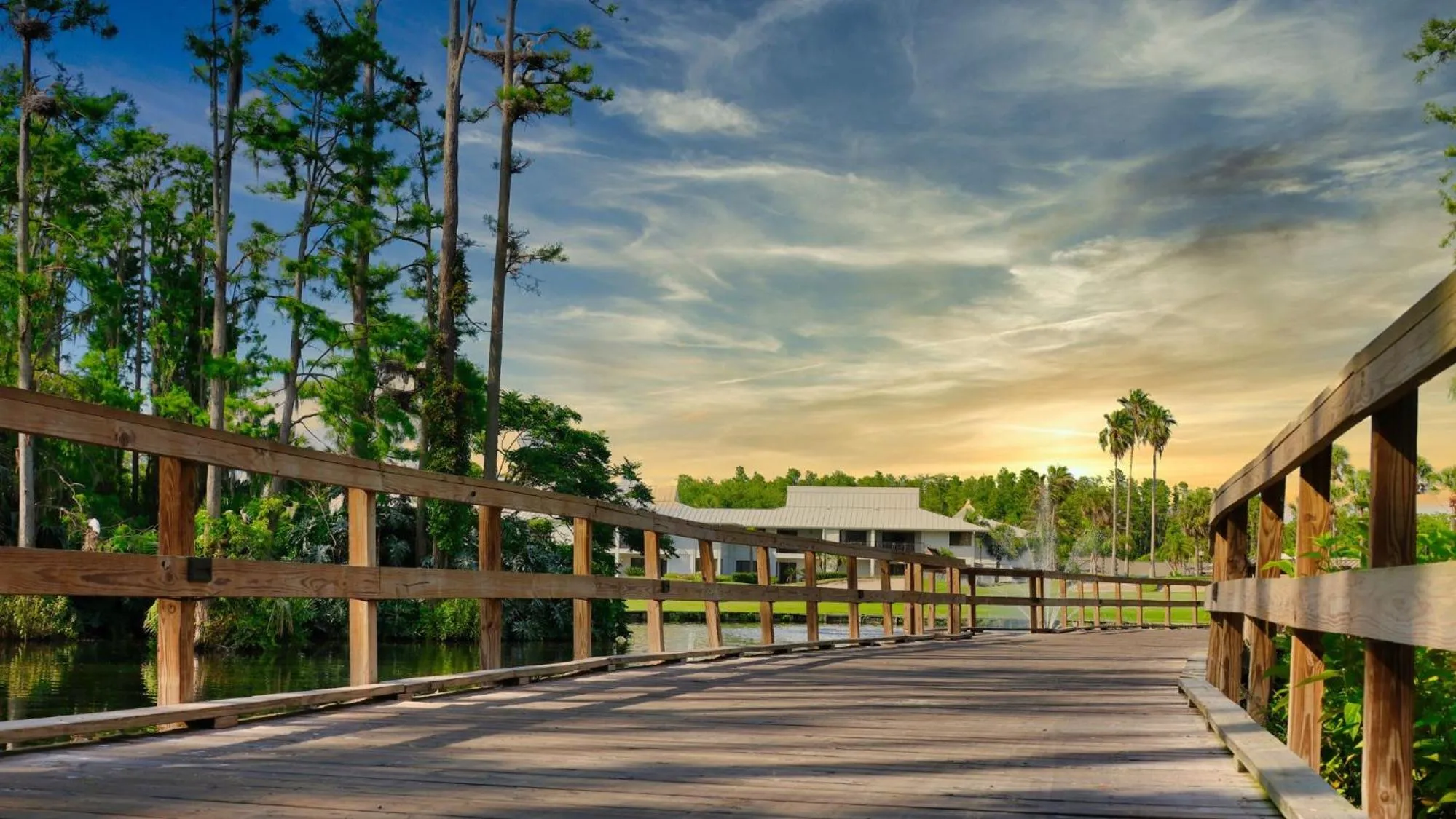 Fitness centre/facilities in Saddlebrook Resort