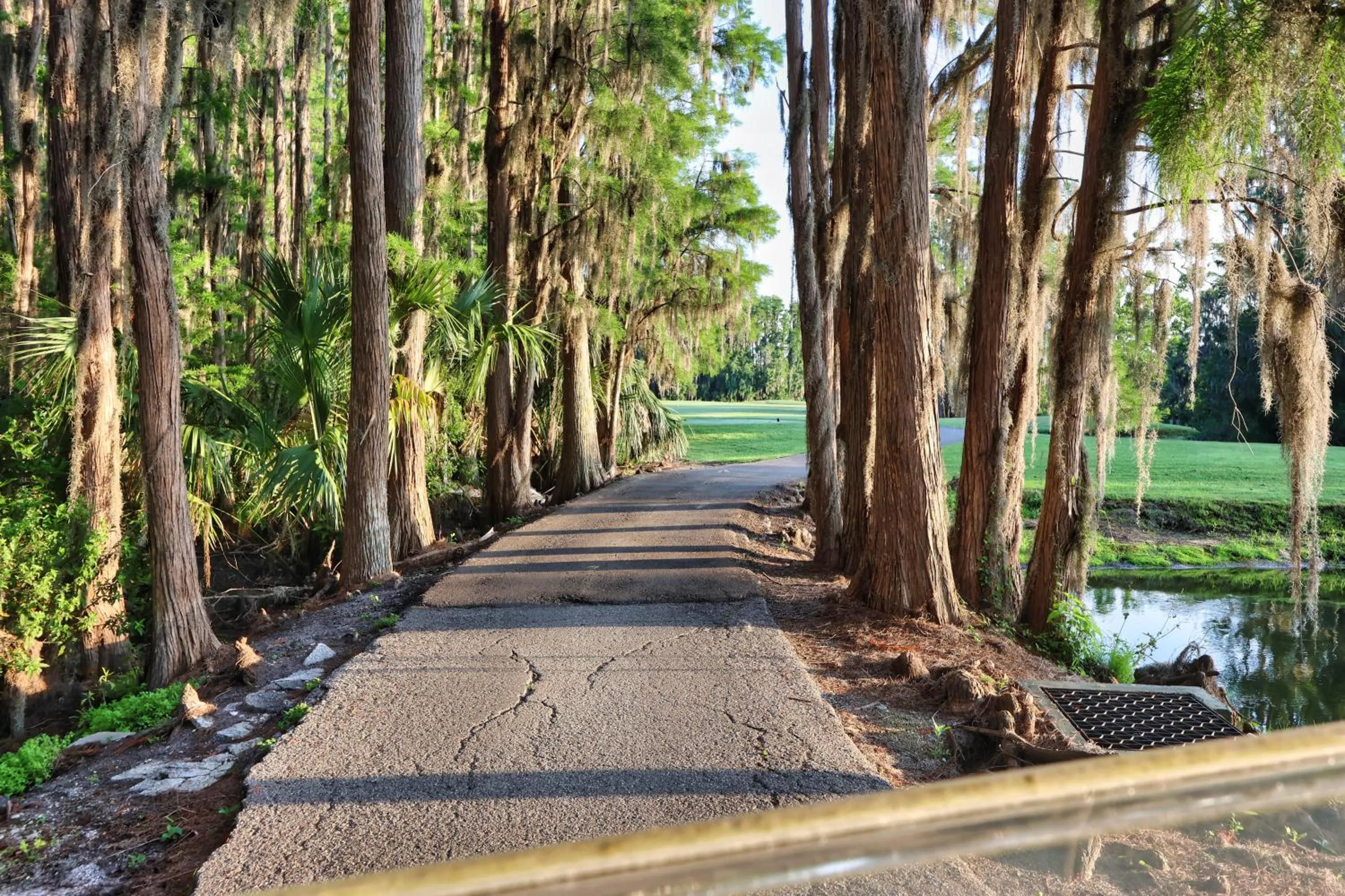 Natural landscape in Saddlebrook Resort