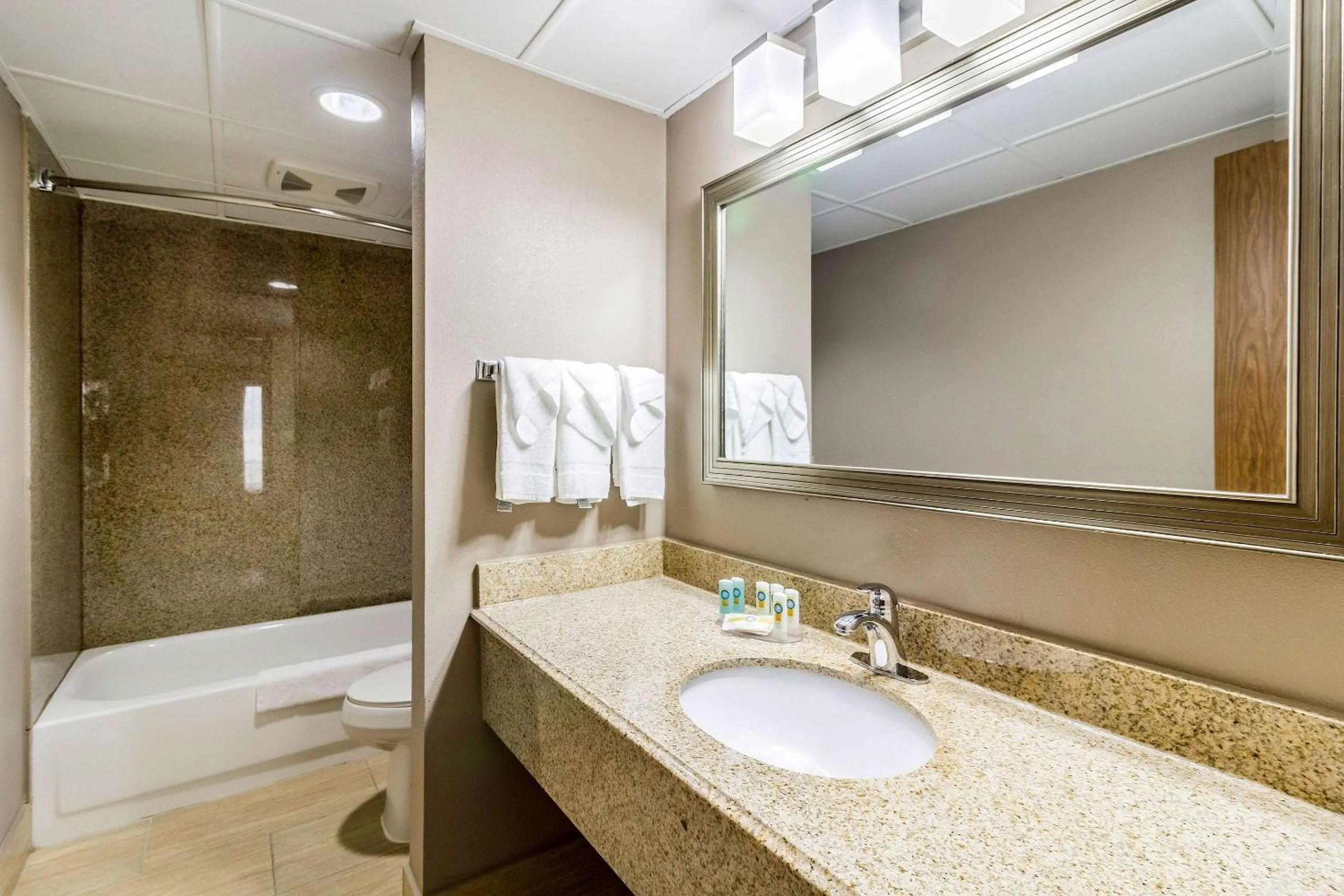 Bathroom in Quality Inn & Suites Arden Hills - Saint Paul North